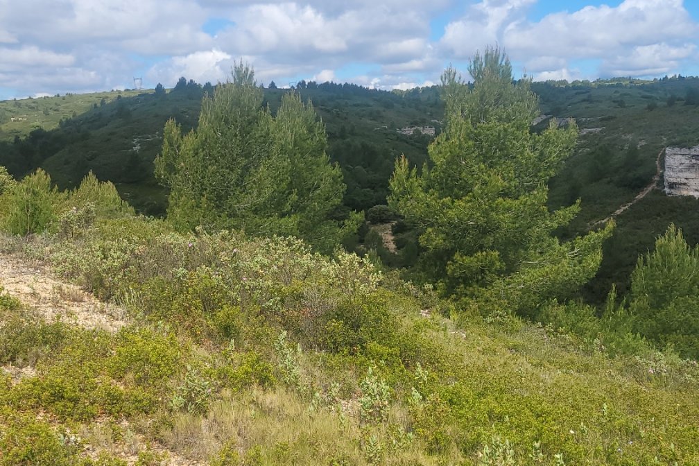 Vue du 06/05/2026