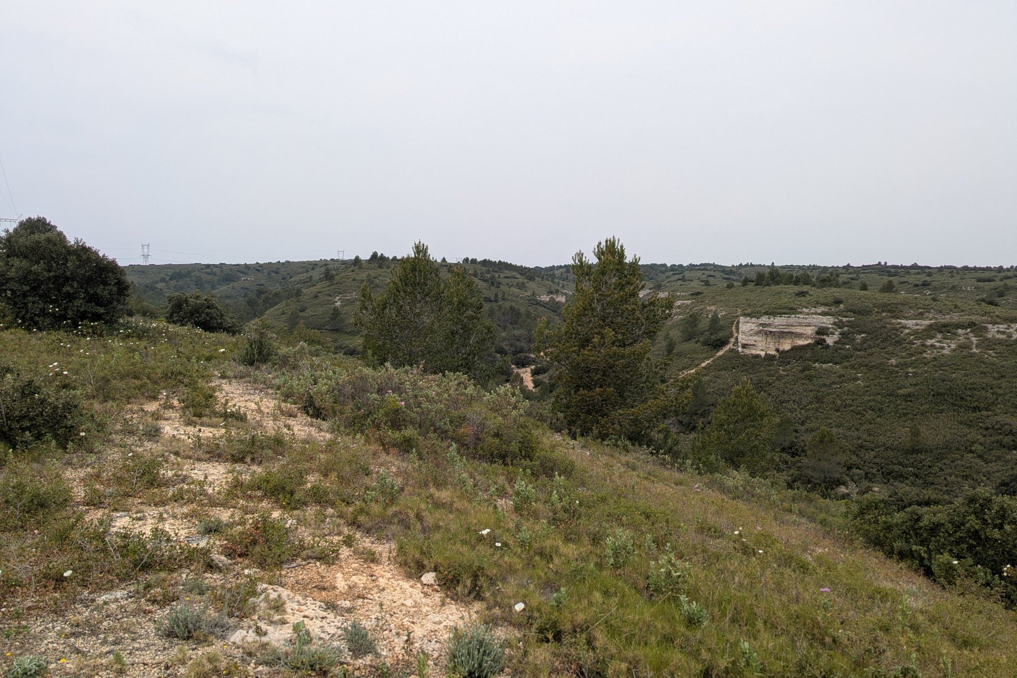 Vue du 12/04/2026