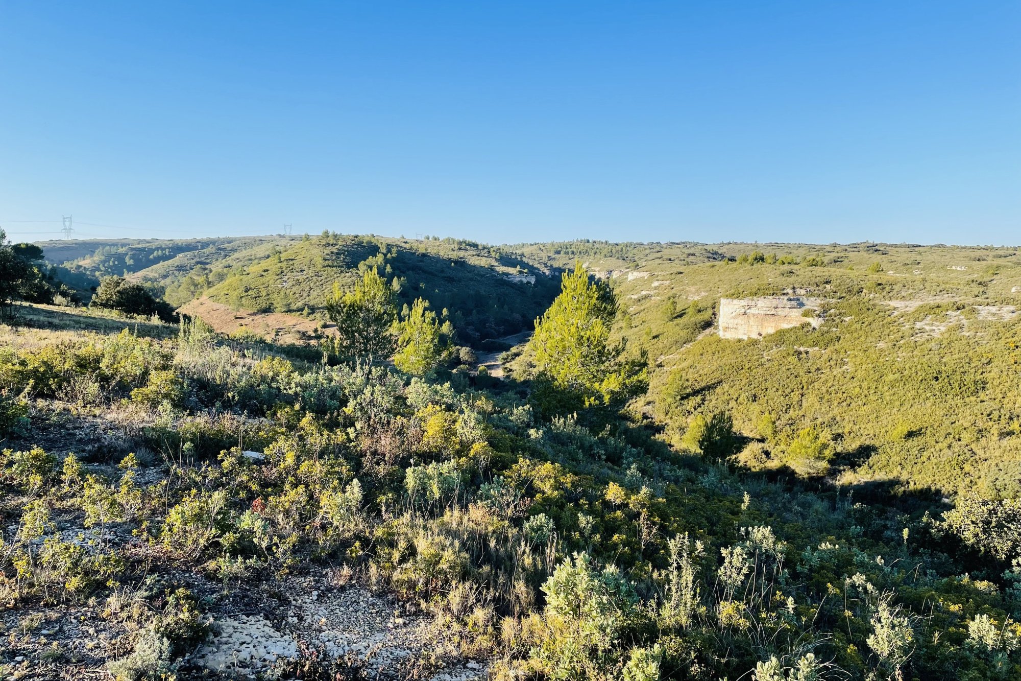 Vue du 19/12/2021