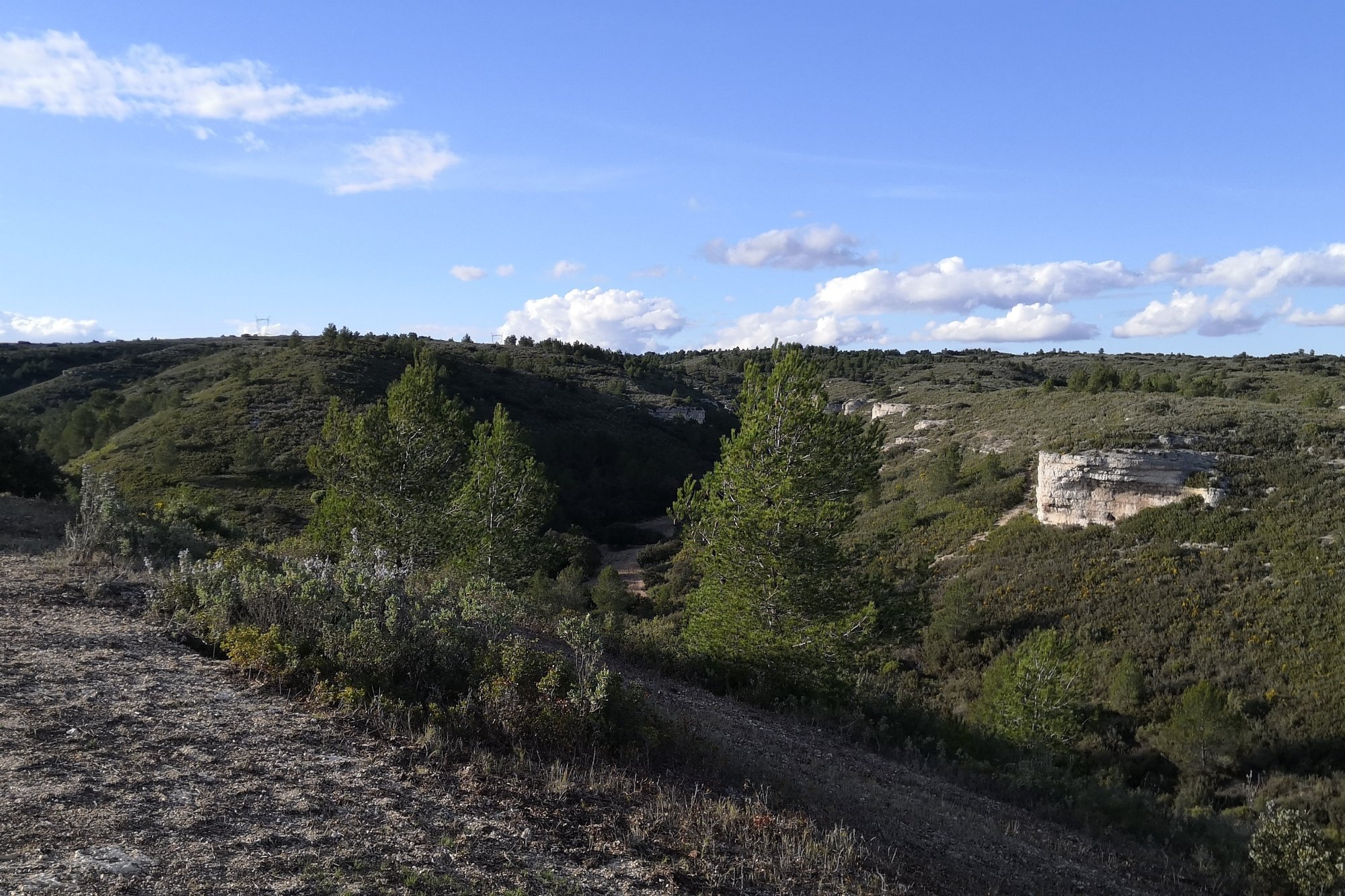 Vue du 24/02/2024