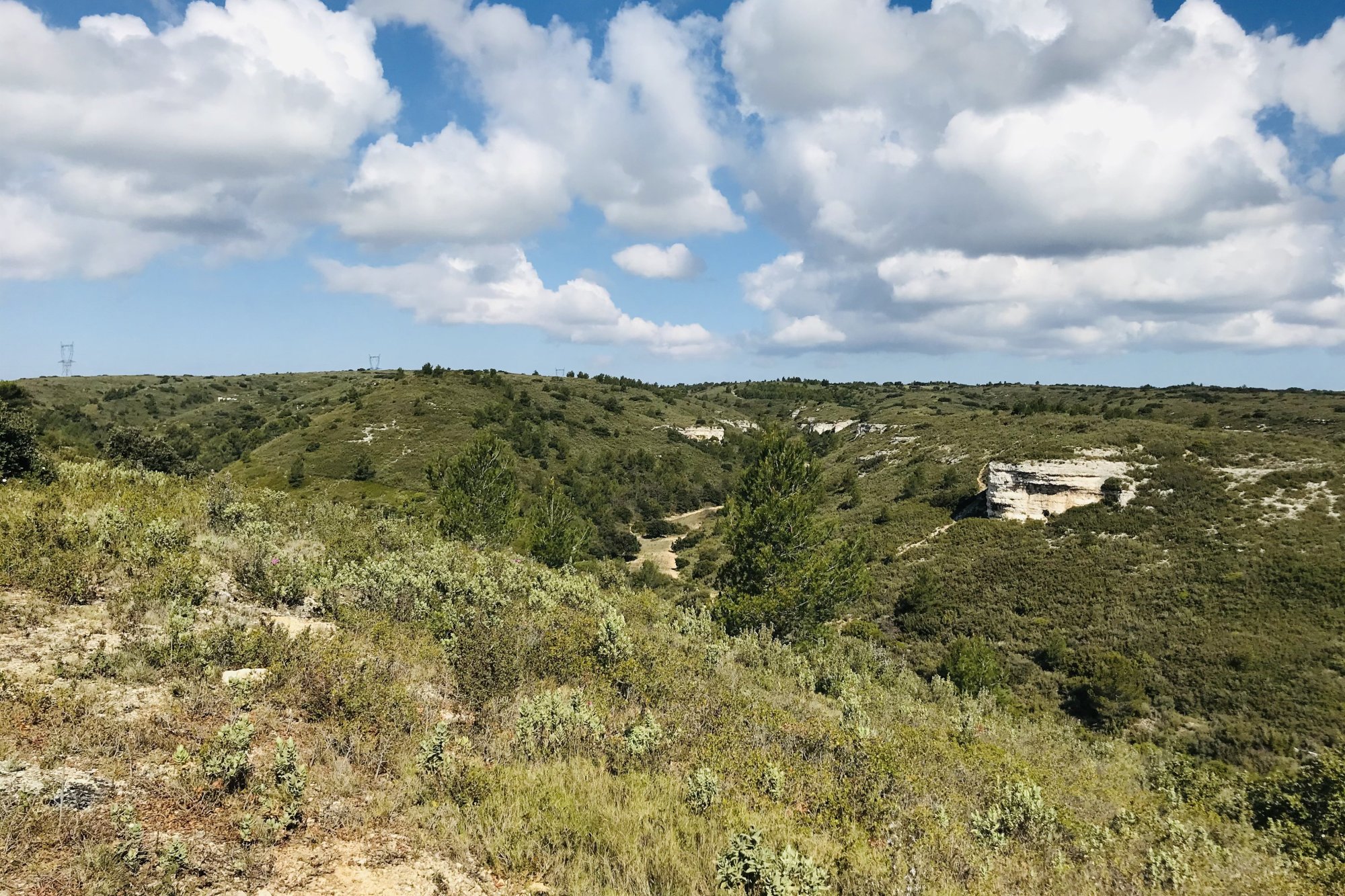 Vue du 15/04/2021