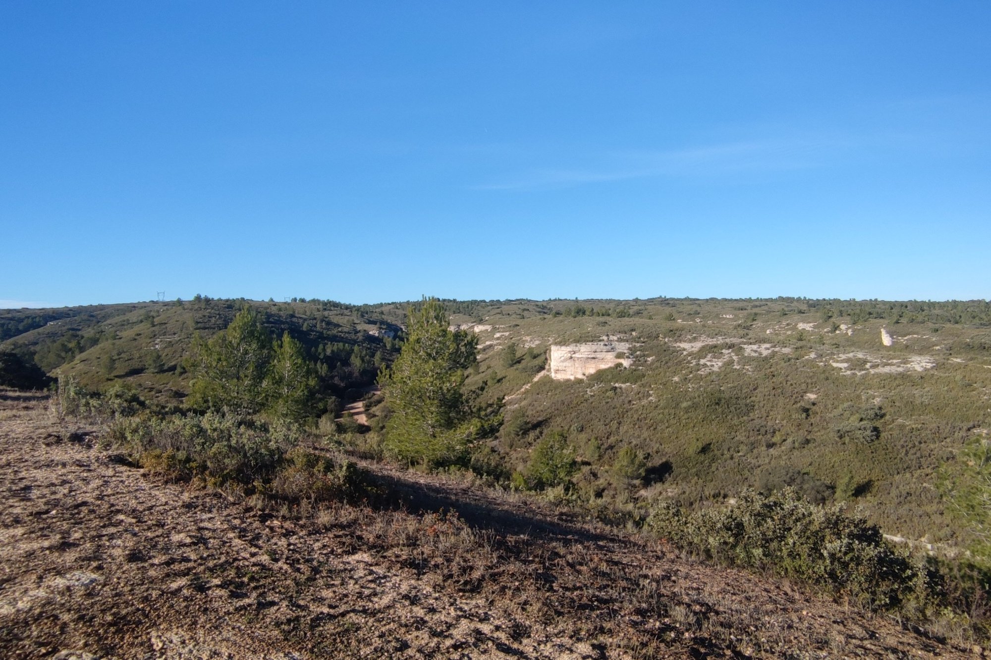 Vue du 24/01/2024