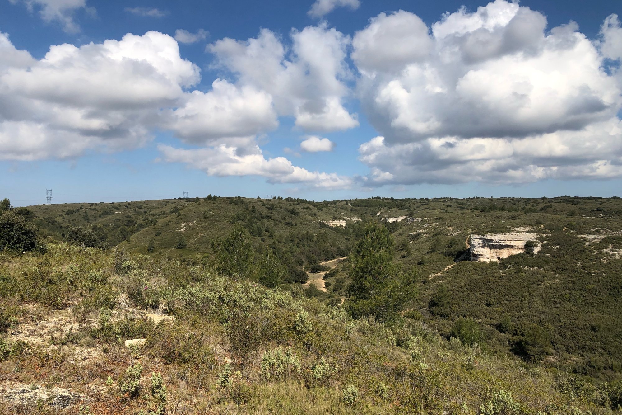 Vue du 15/04/2021