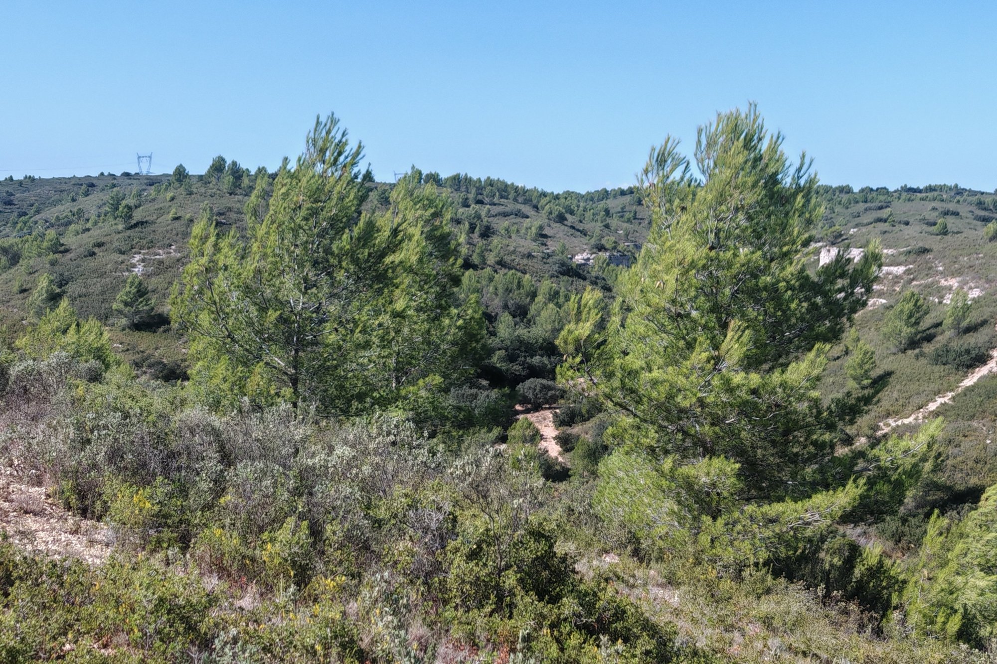 Vue du 19/09/2026