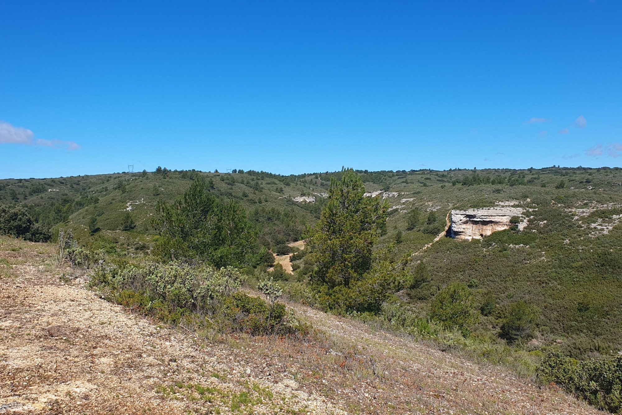 Vue du 01/04/2024