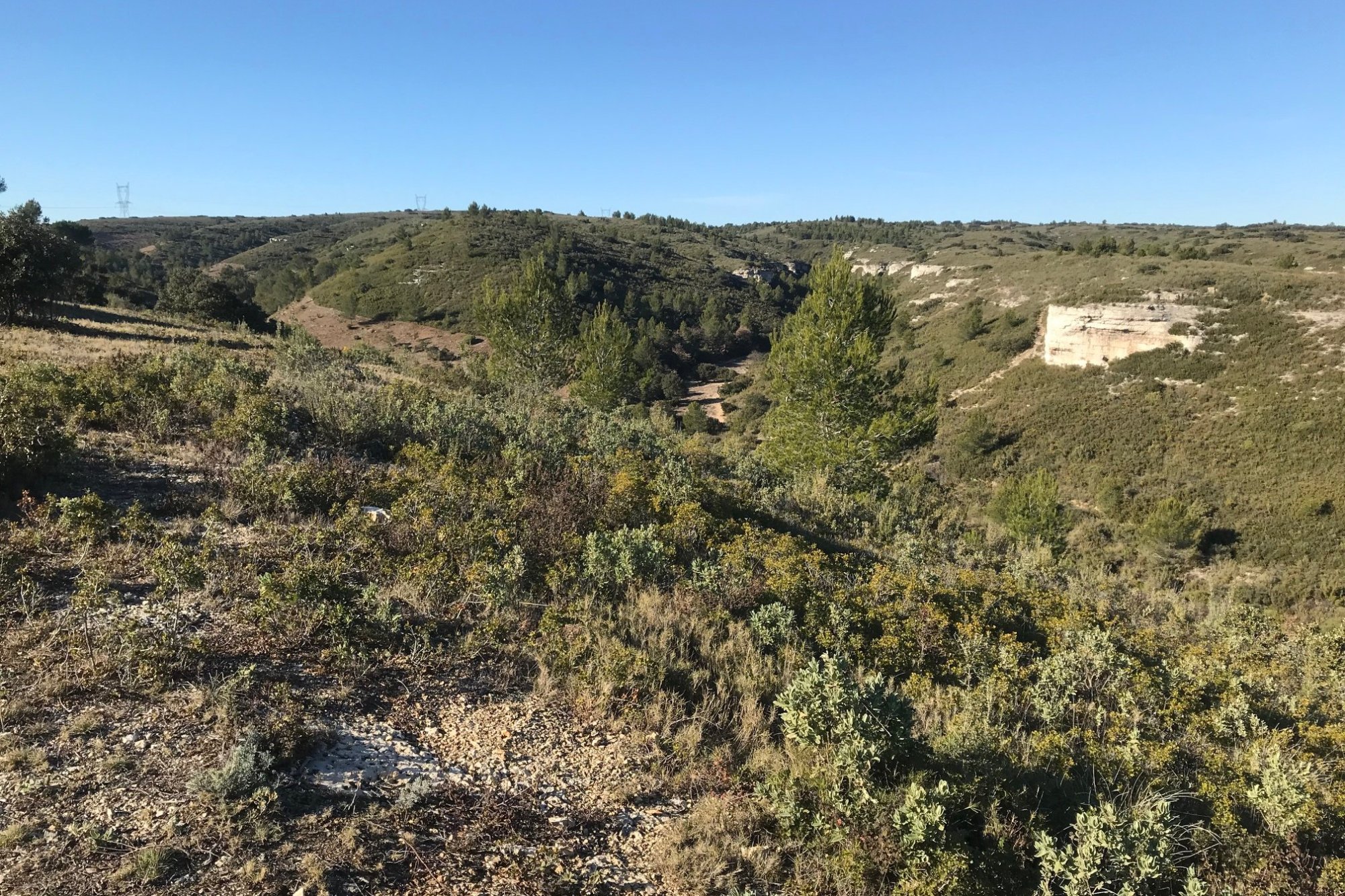Vue du 23/01/2022