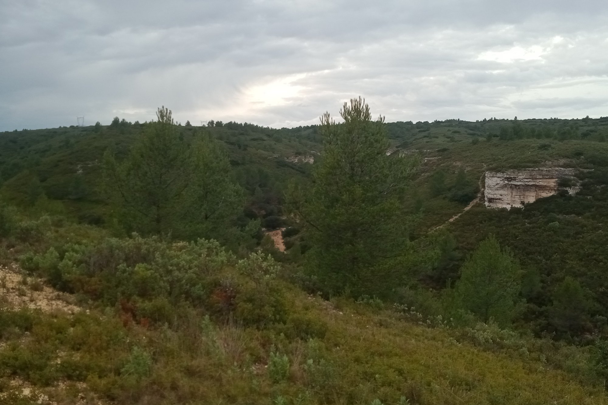 Vue du 23/12/2025