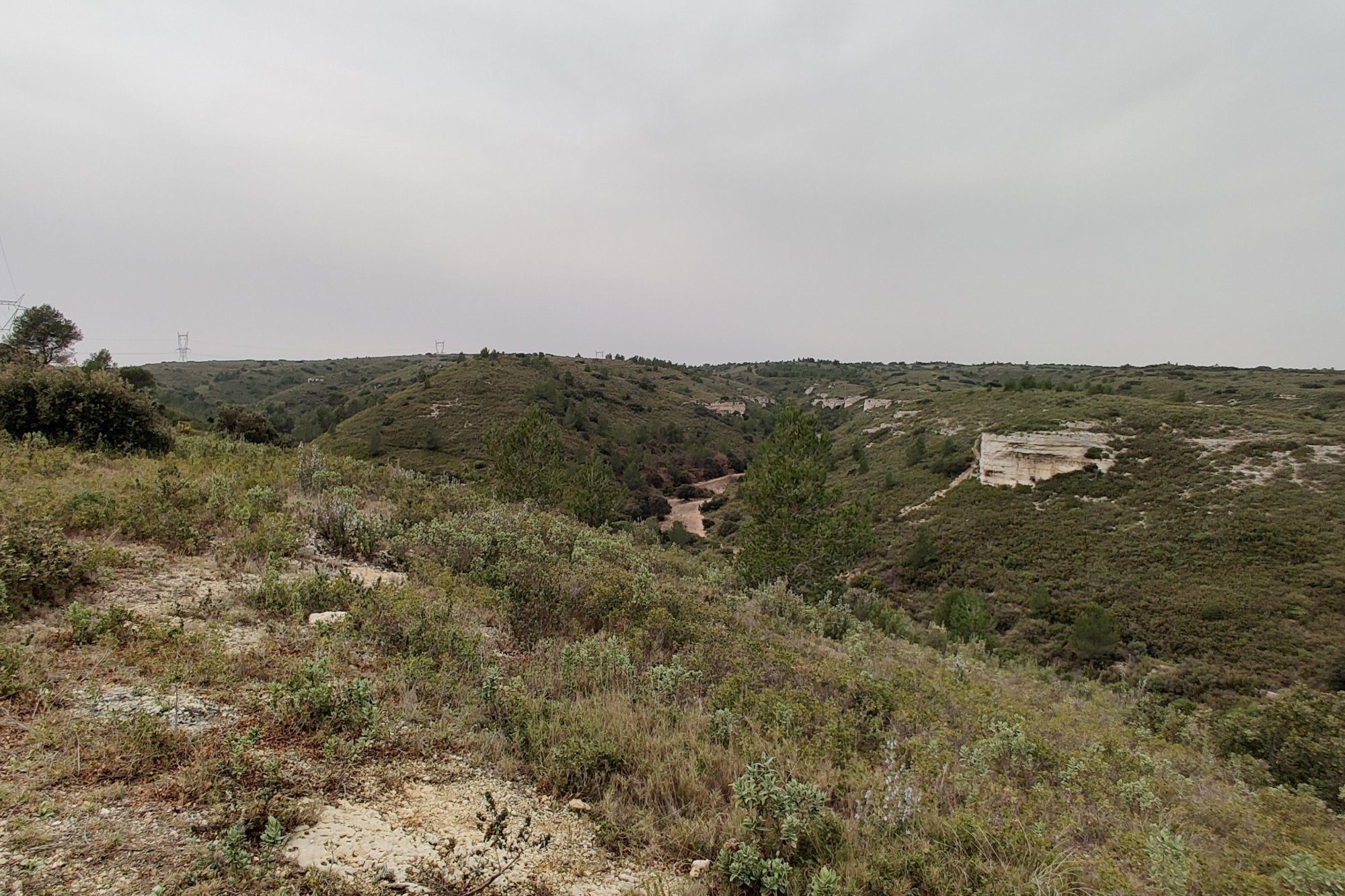 Vue du 03/03/2021