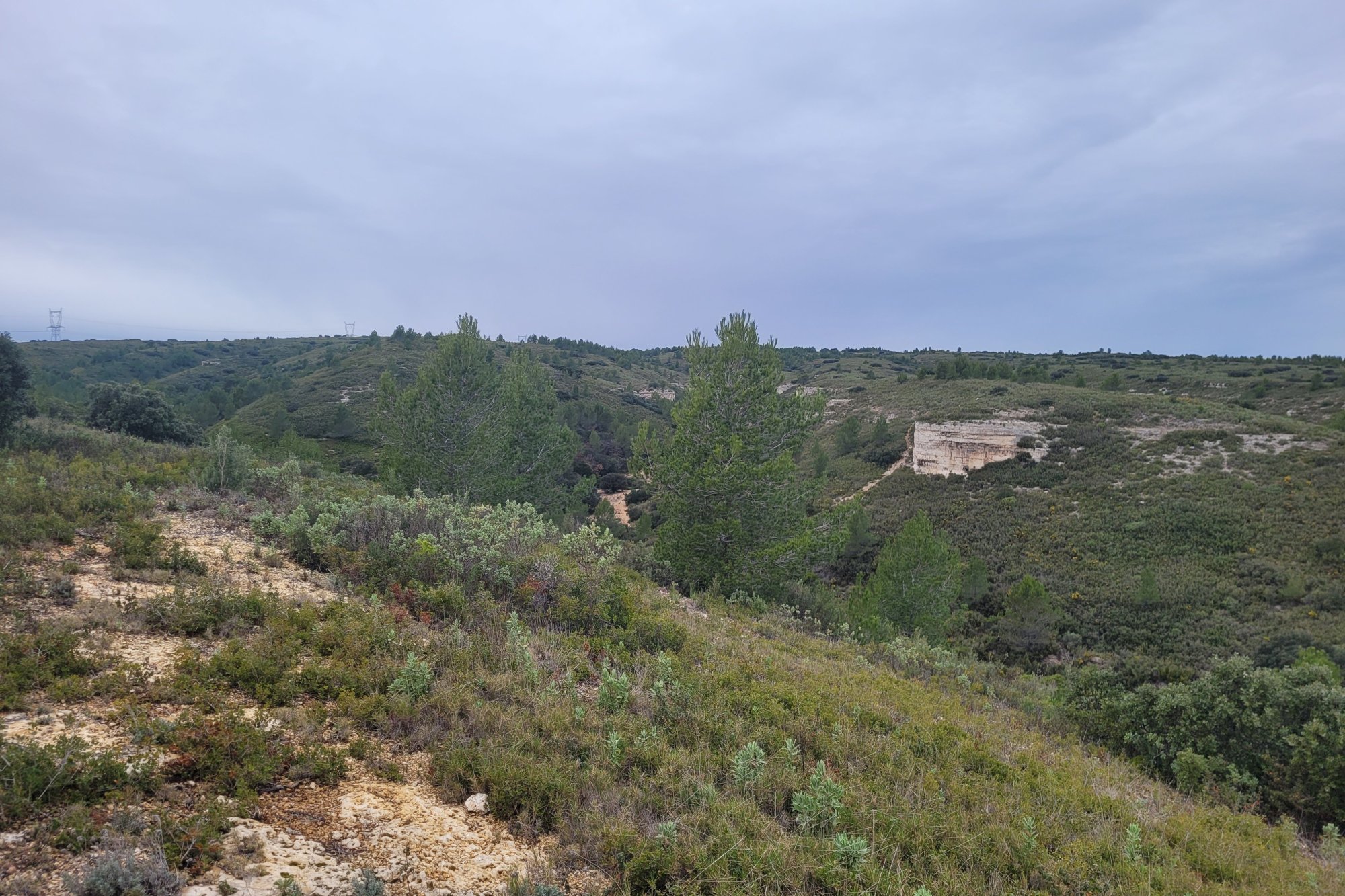 Vue du 25/01/2026