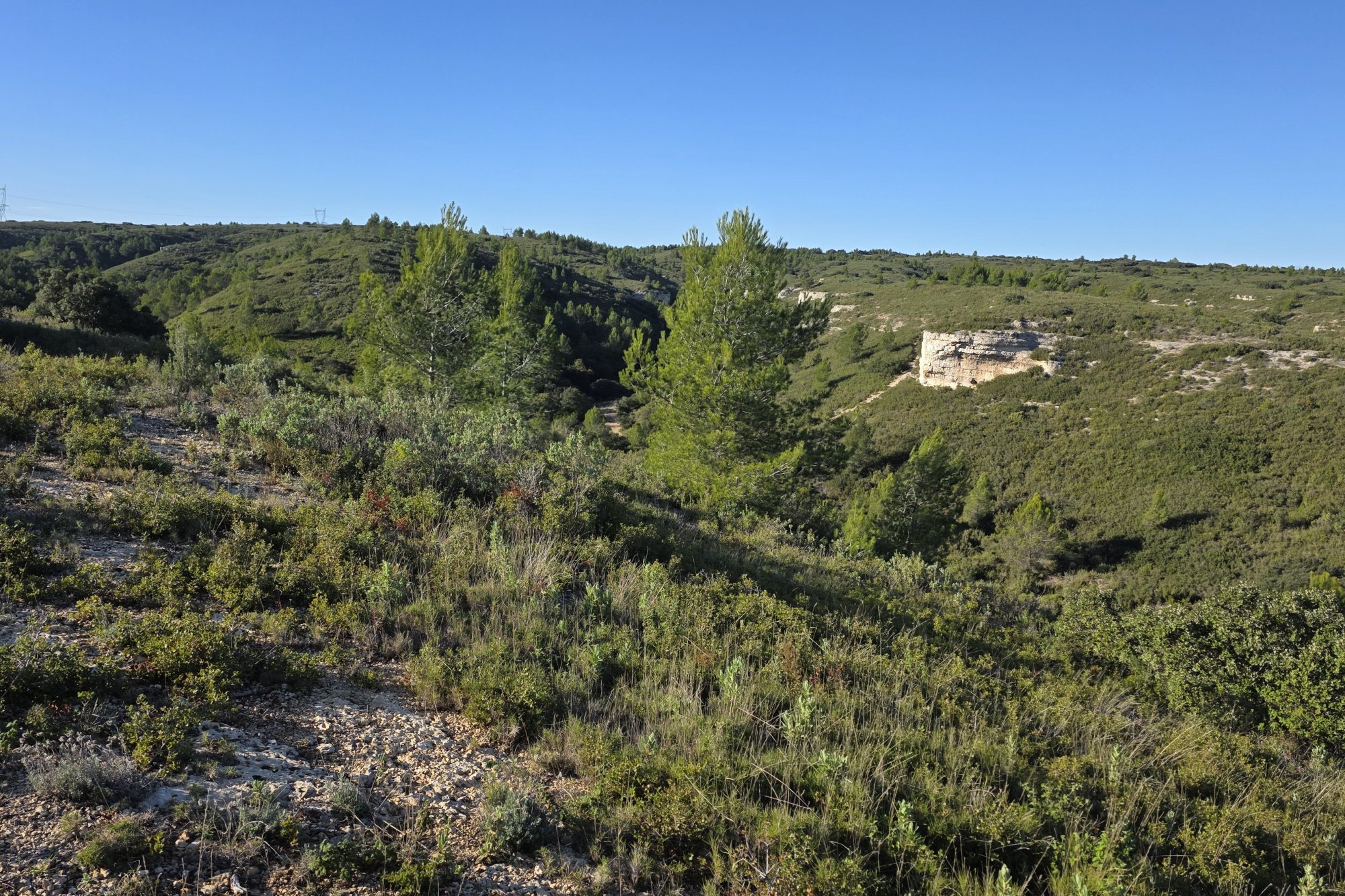 Vue du 26/10/2025
