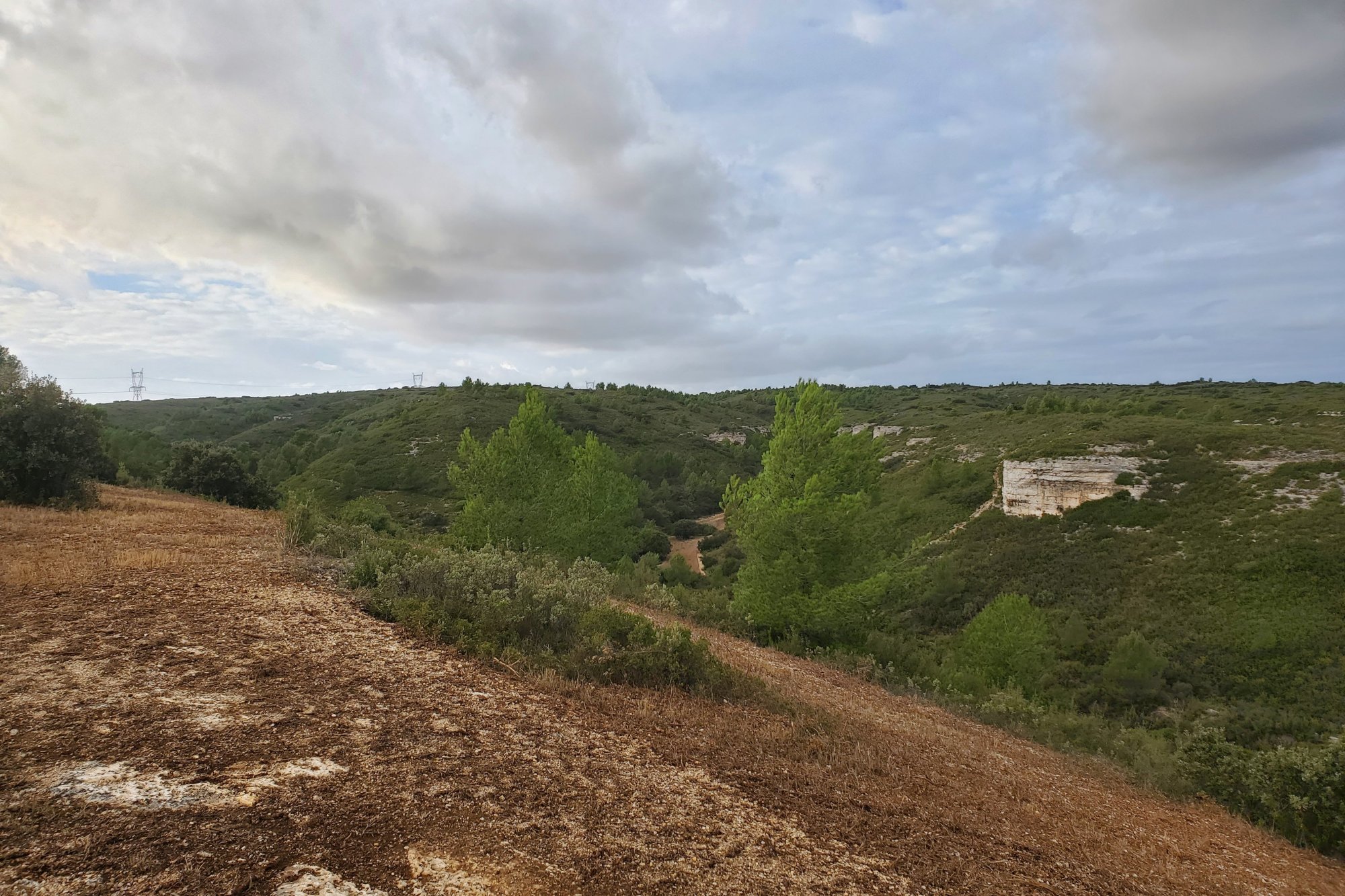 Vue du 01/11/2023