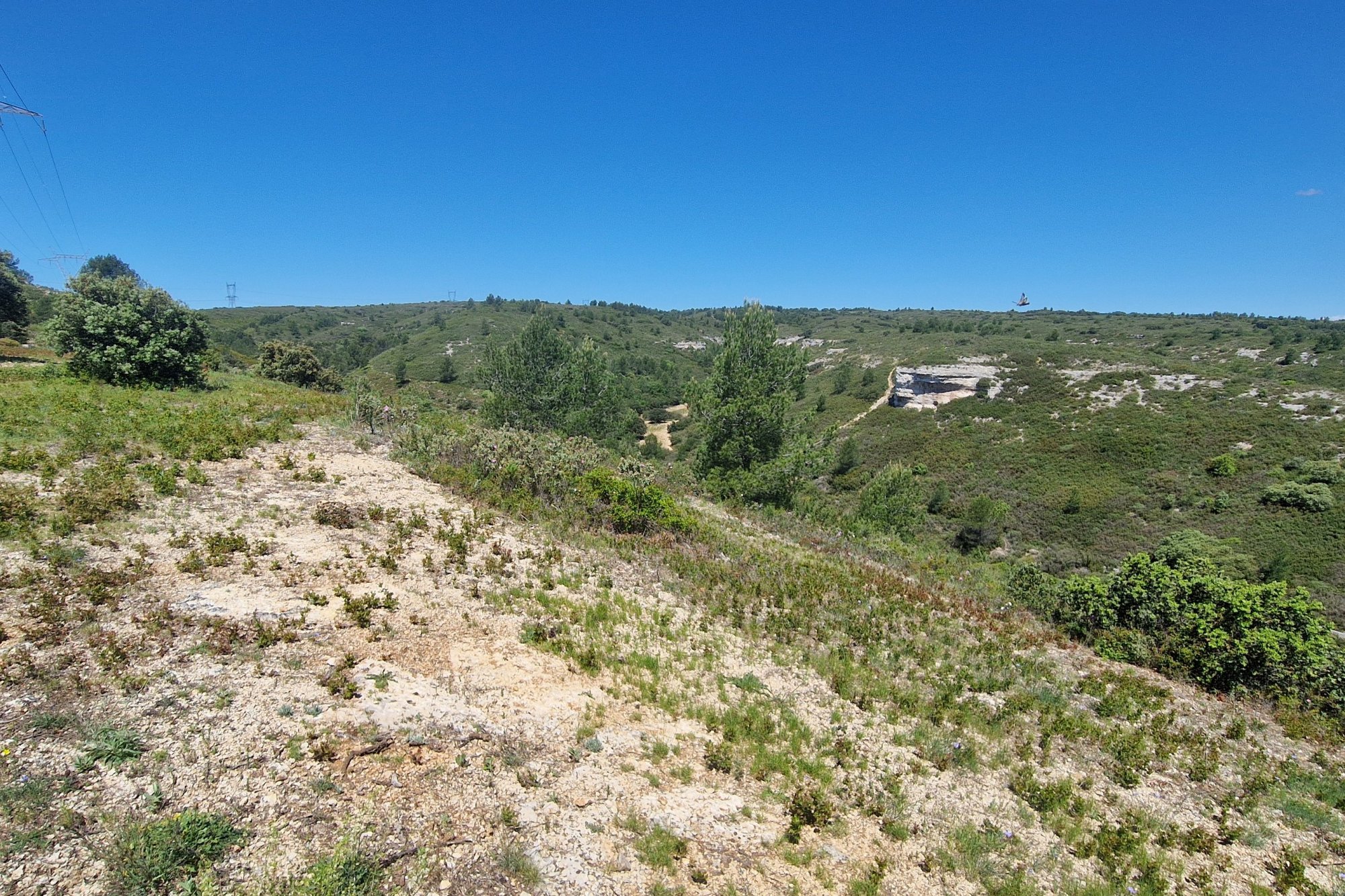 Vue du 09/05/2024