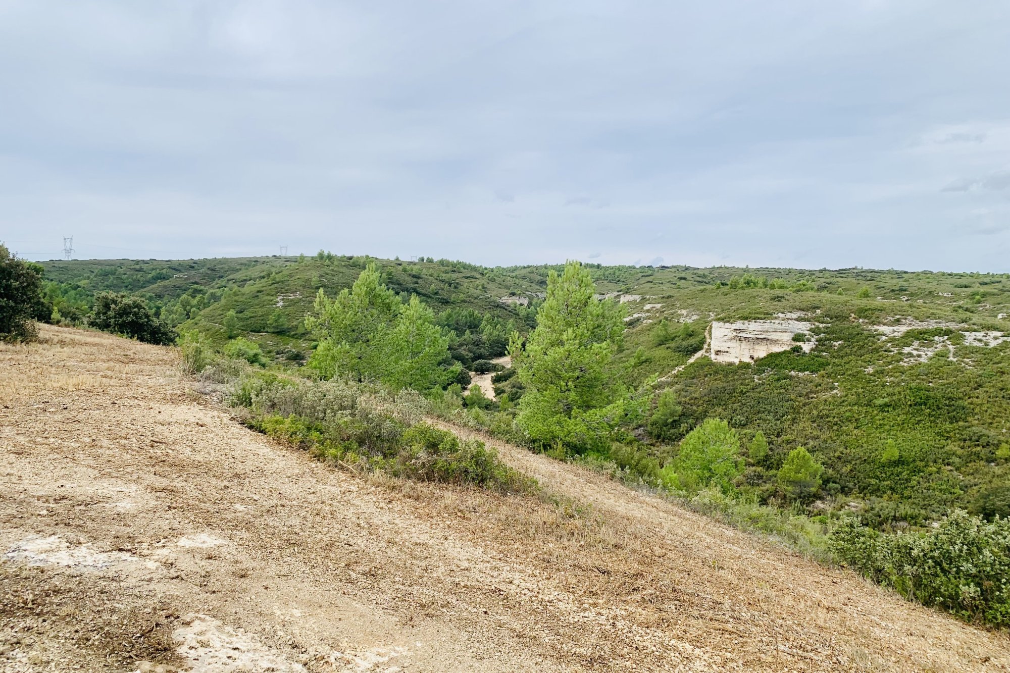 Vue du 29/10/2023
