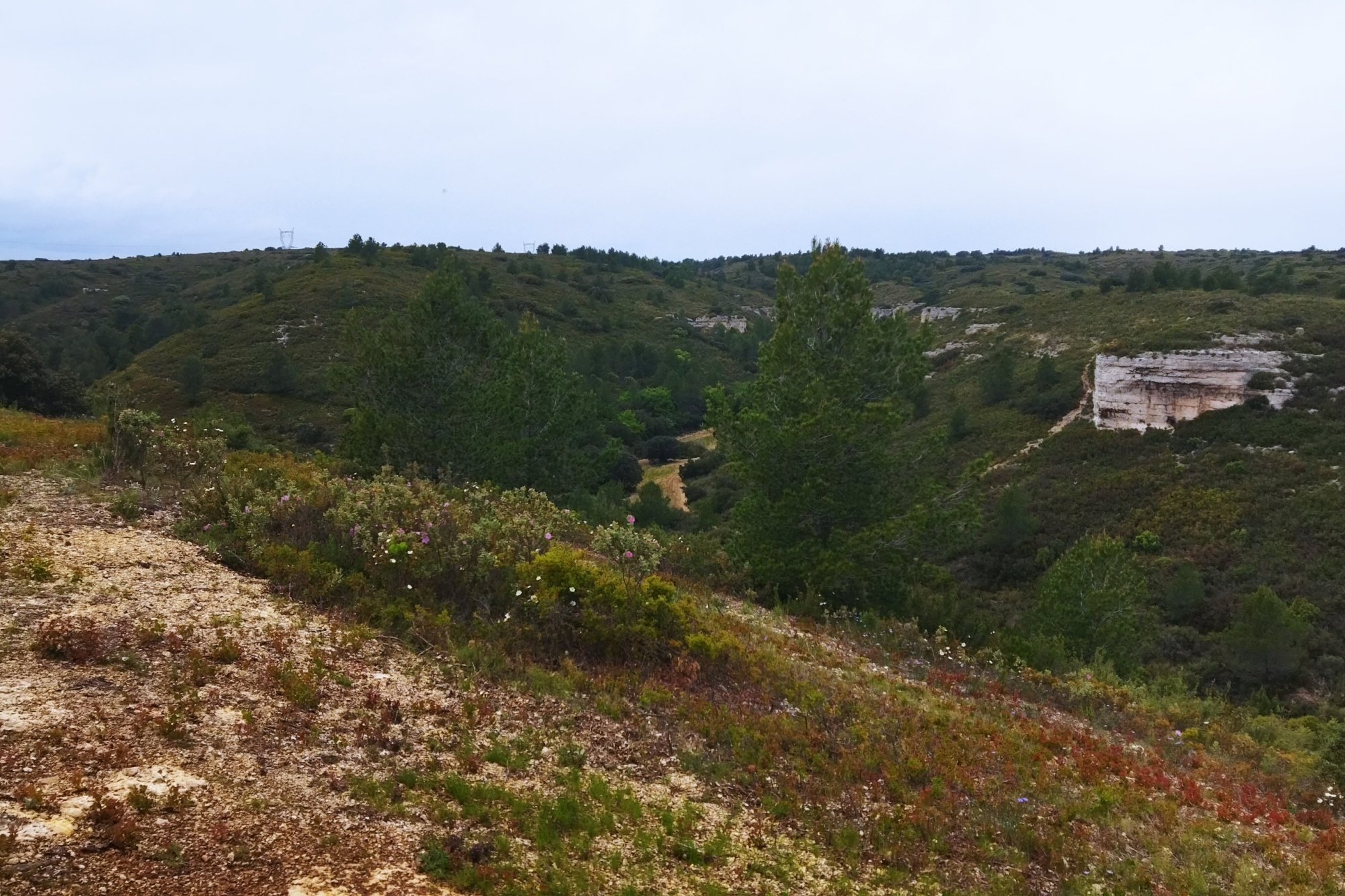 Vue du 28/04/2024