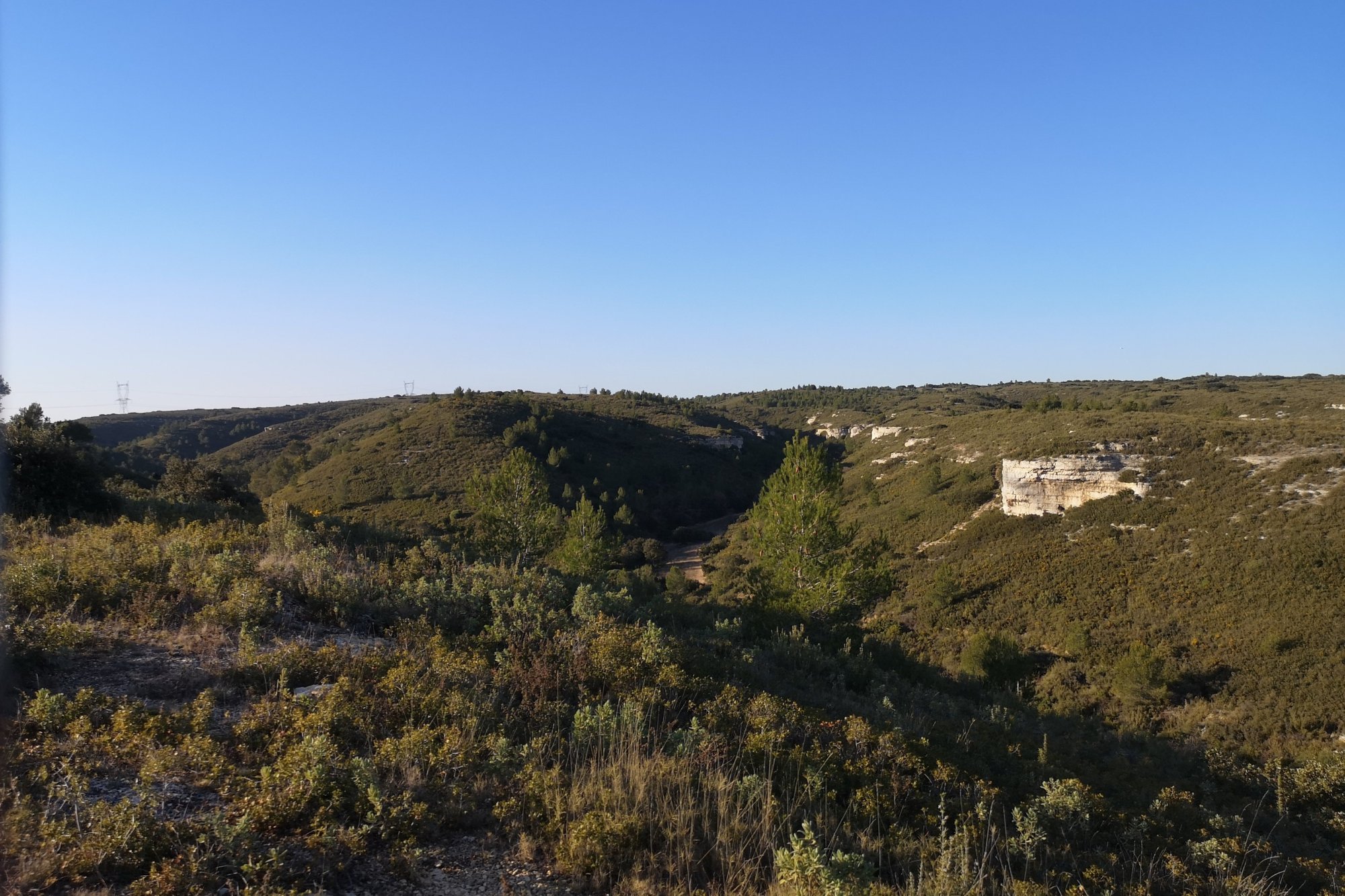 Vue du 20/01/2021