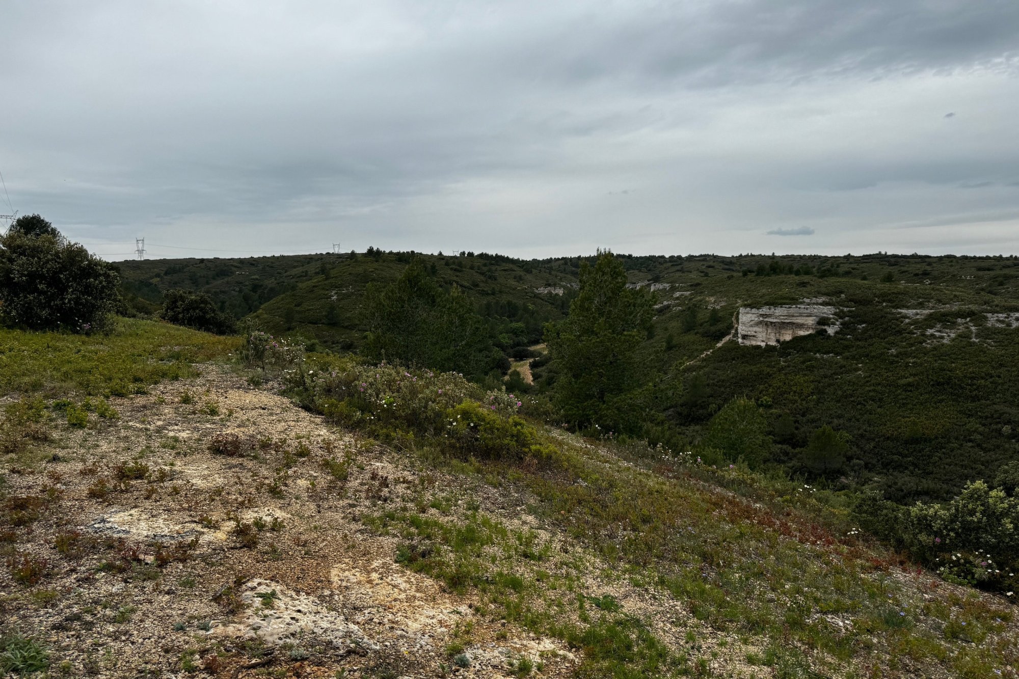 Vue du 30/04/2024