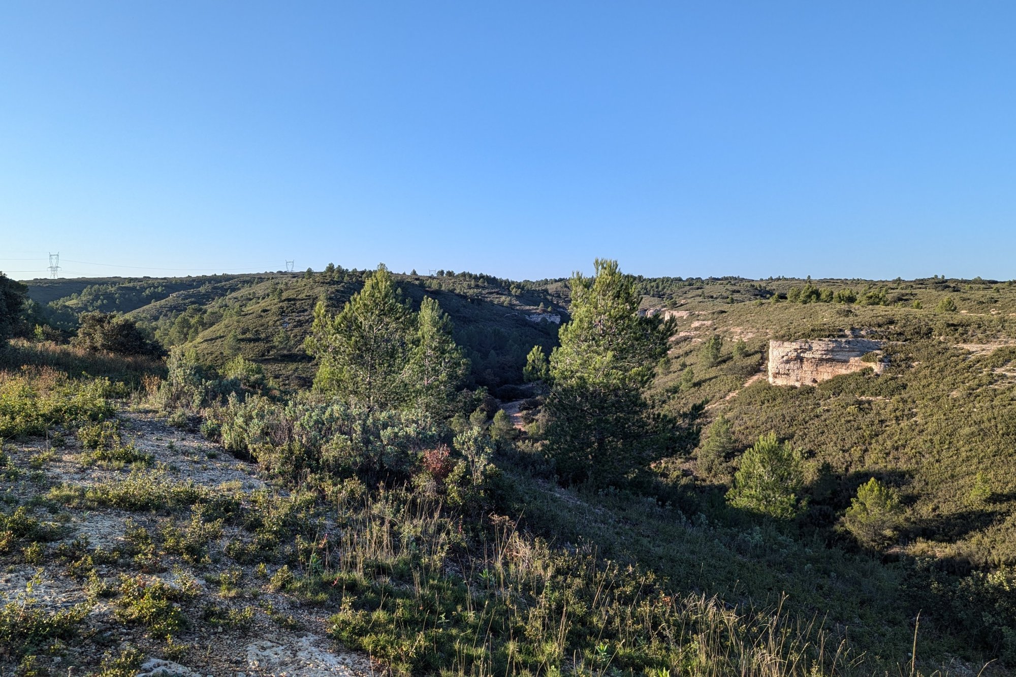Vue du 01/11/2024