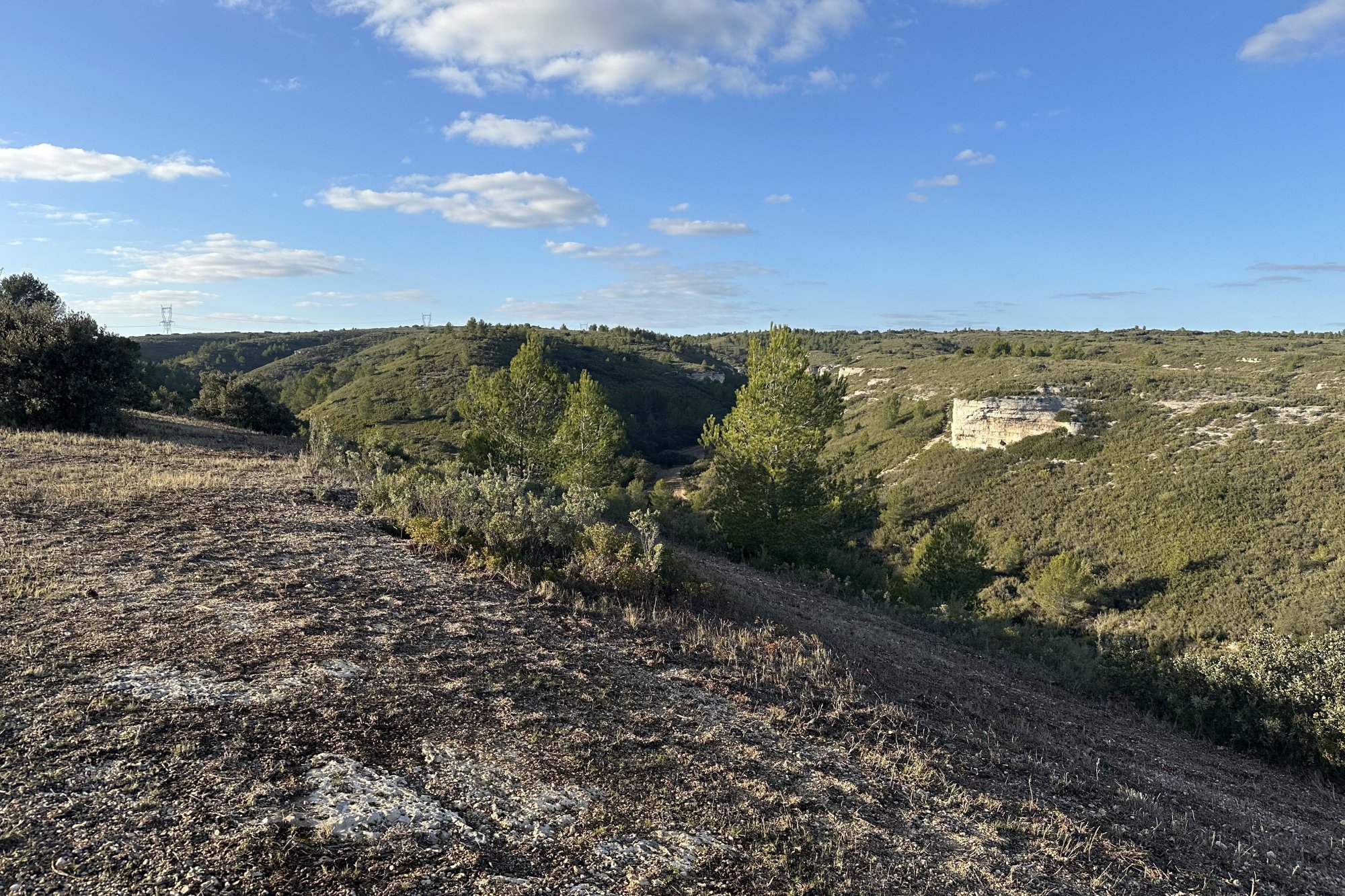 Vue du 21/01/2024
