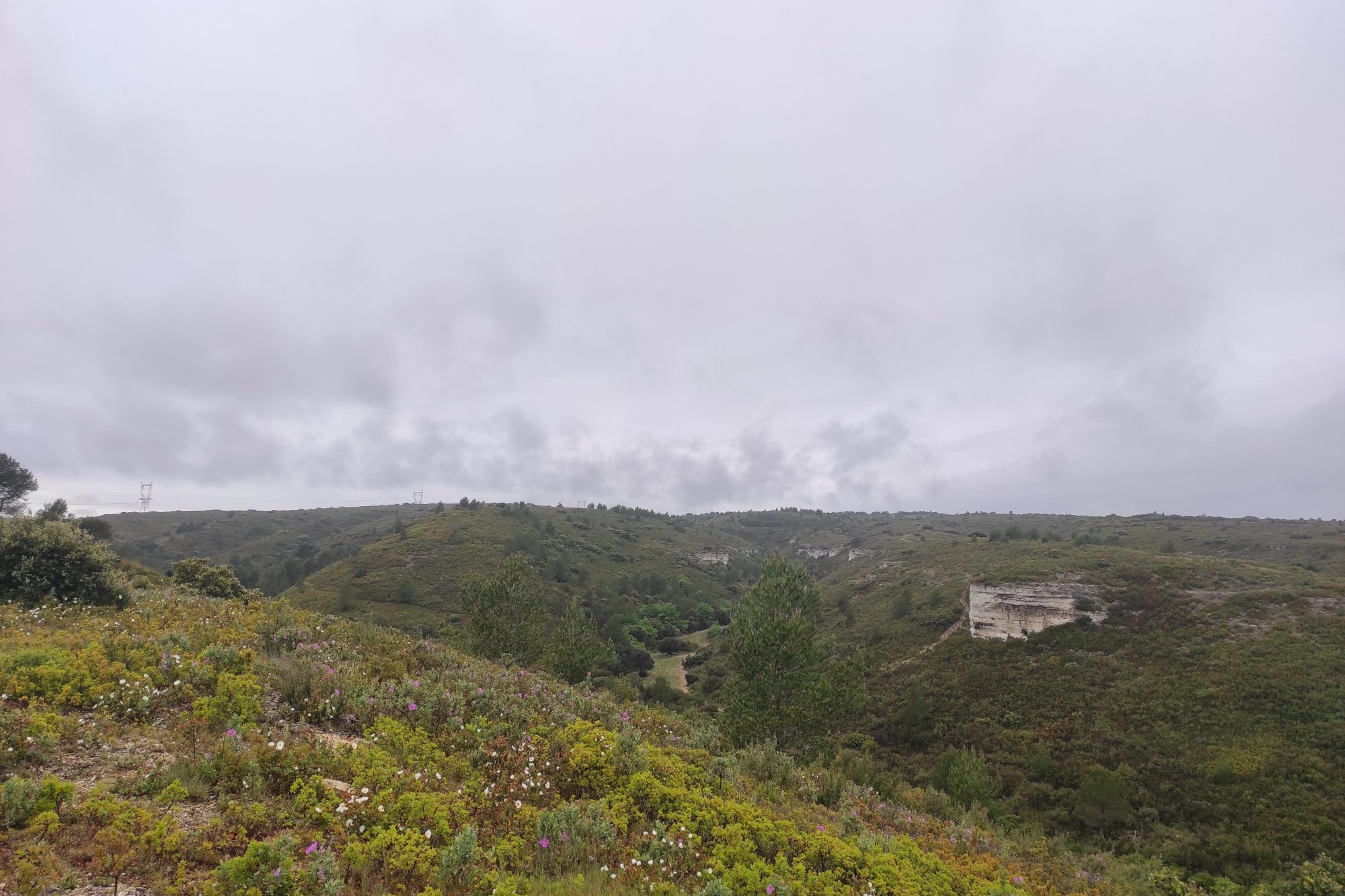 Vue du 16/05/2021