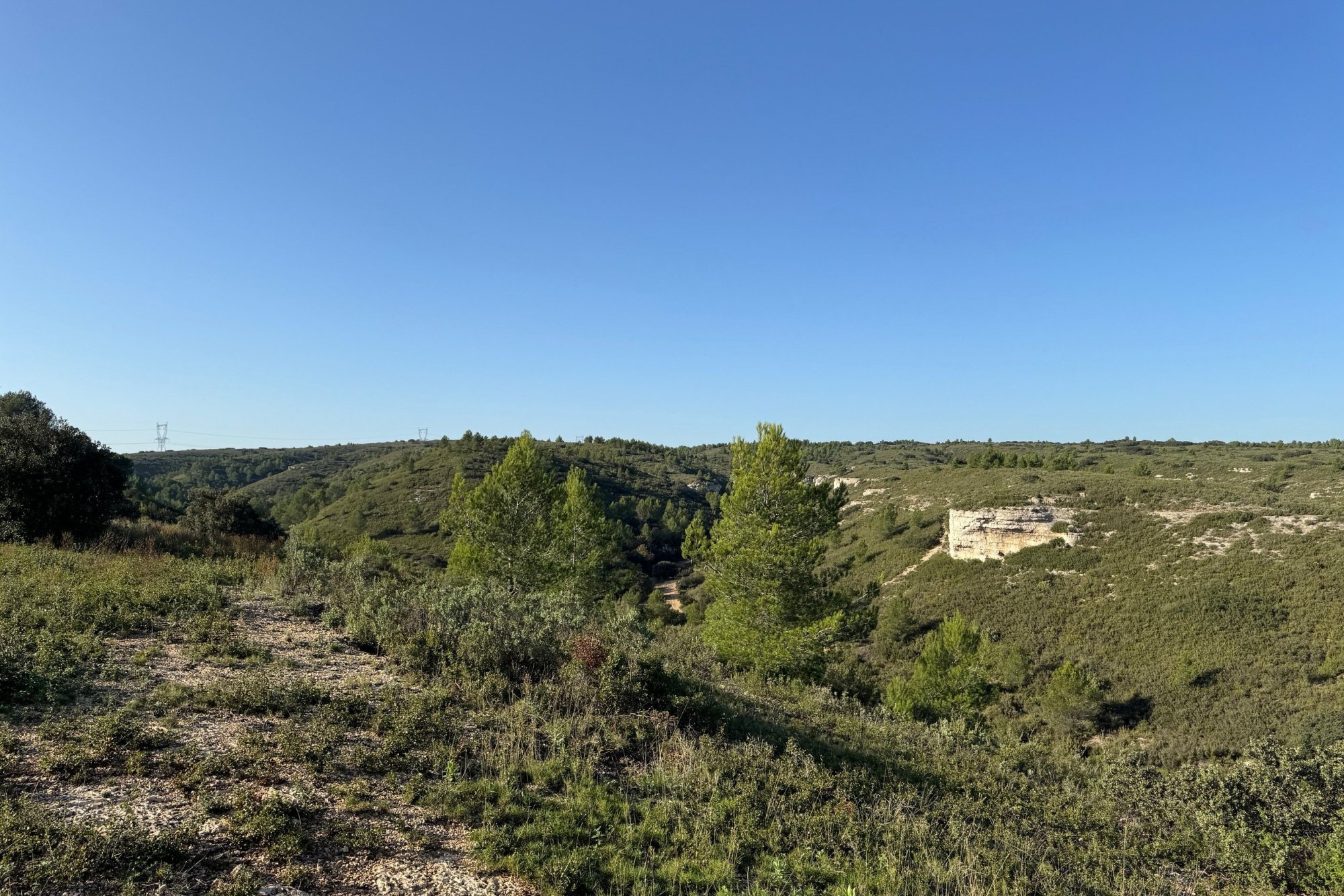 Vue du 02/11/2024