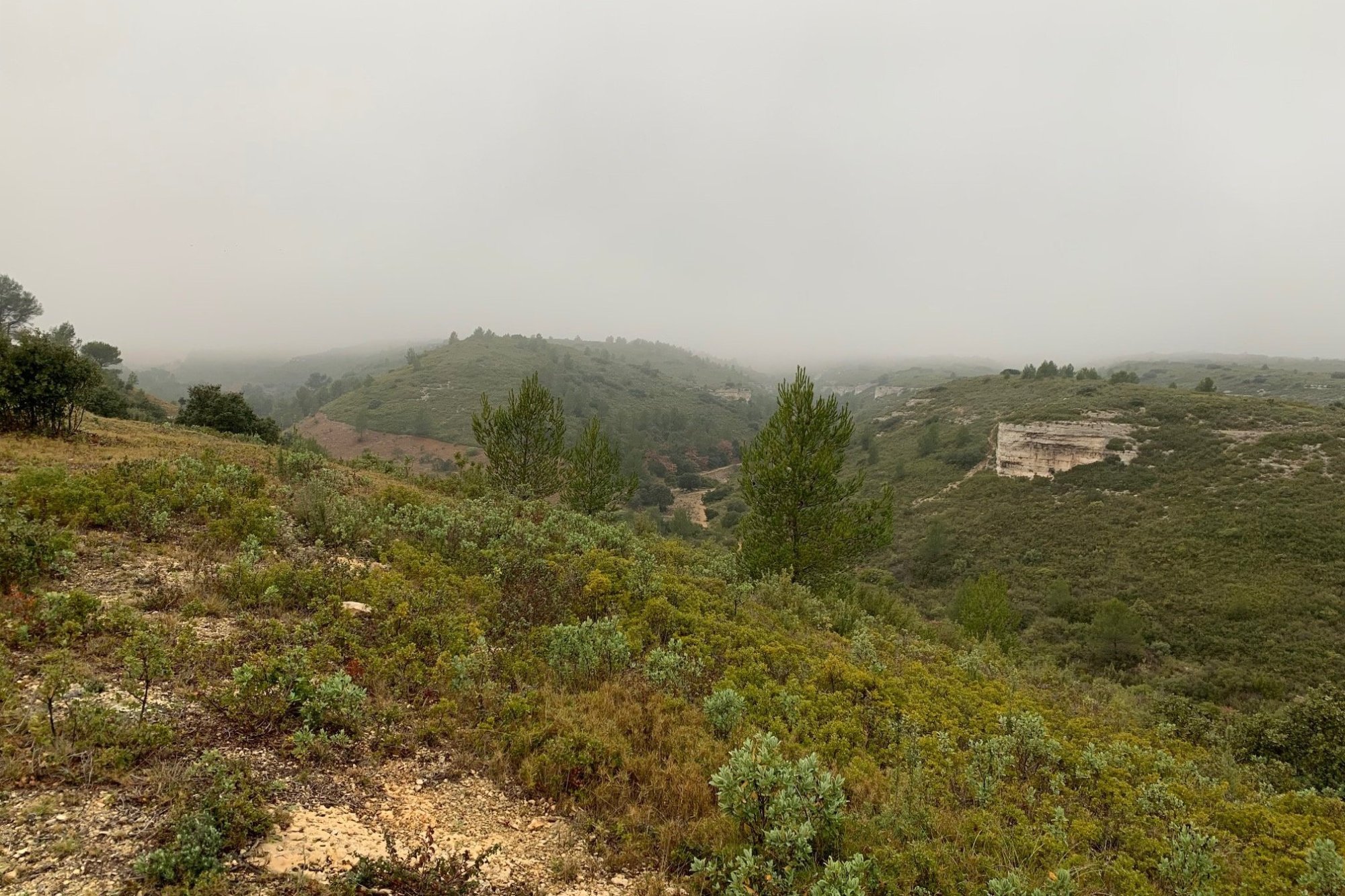 Vue du 01/01/2022