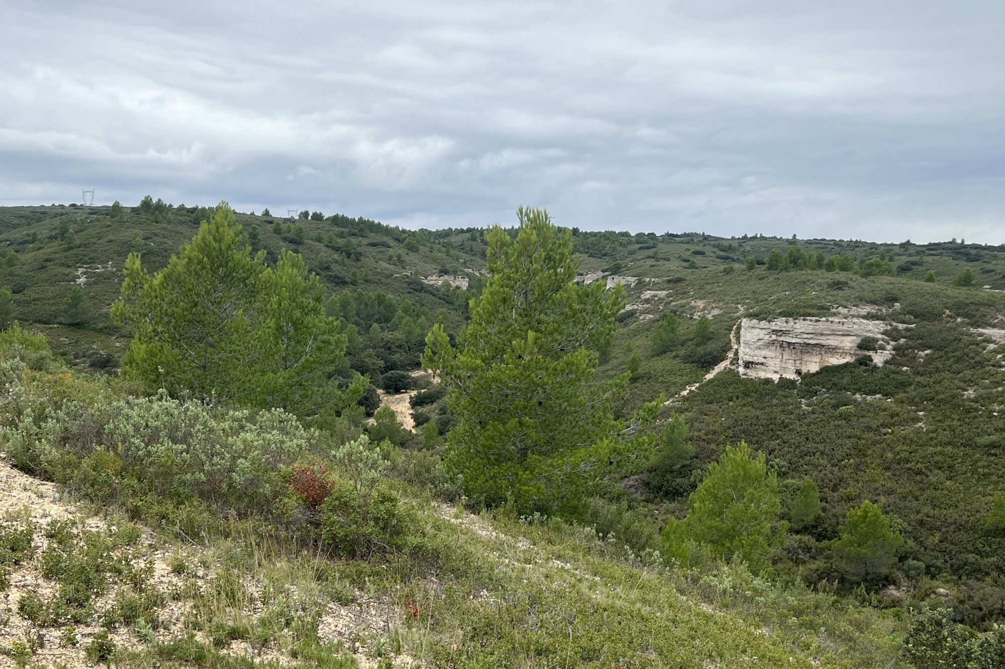 Vue du 06/10/2024