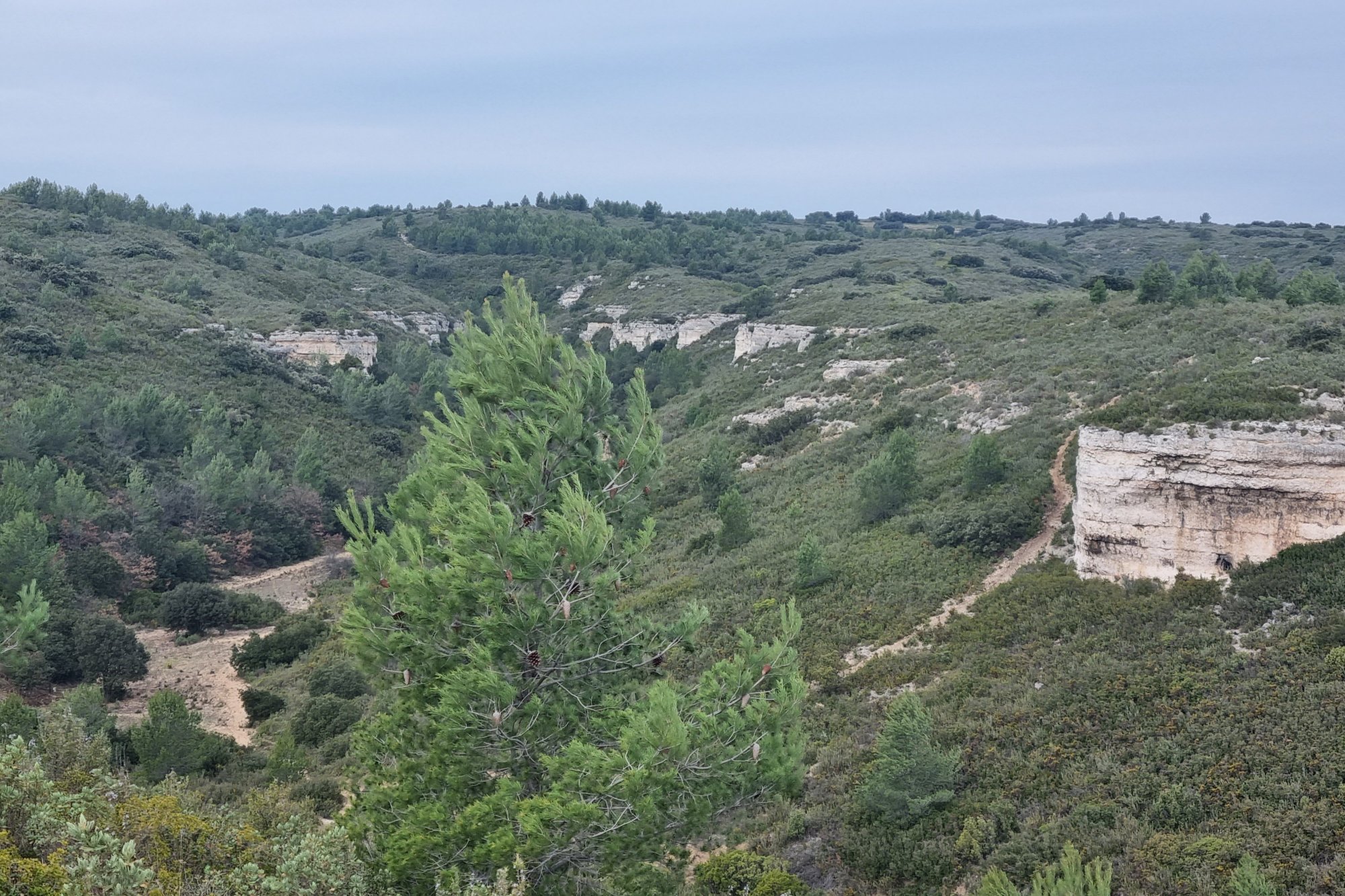 Vue du 20/03/2022