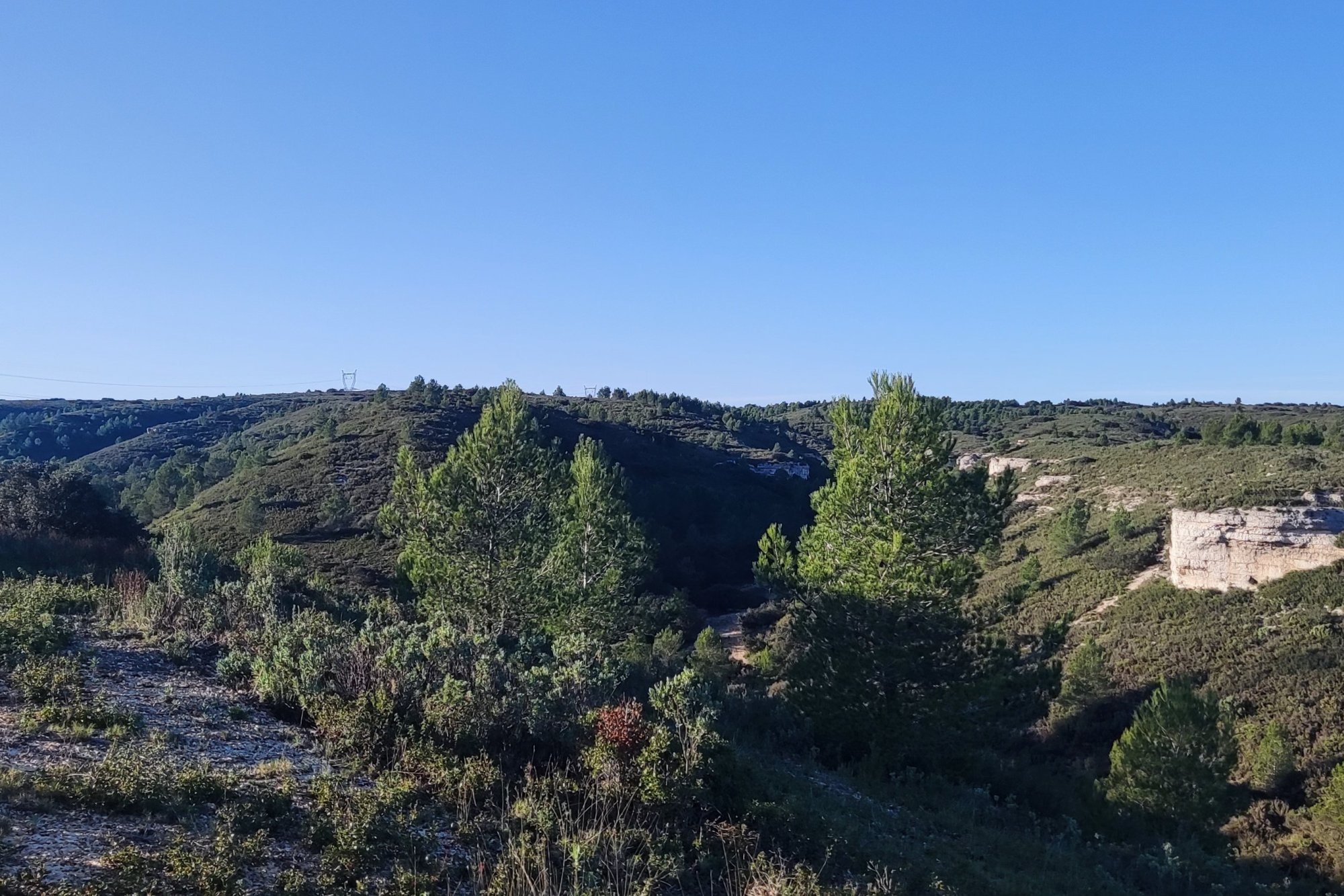 Vue du 11/11/2024