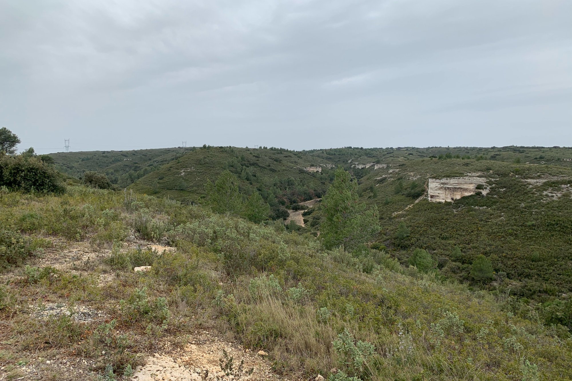 Vue du 22/02/2021