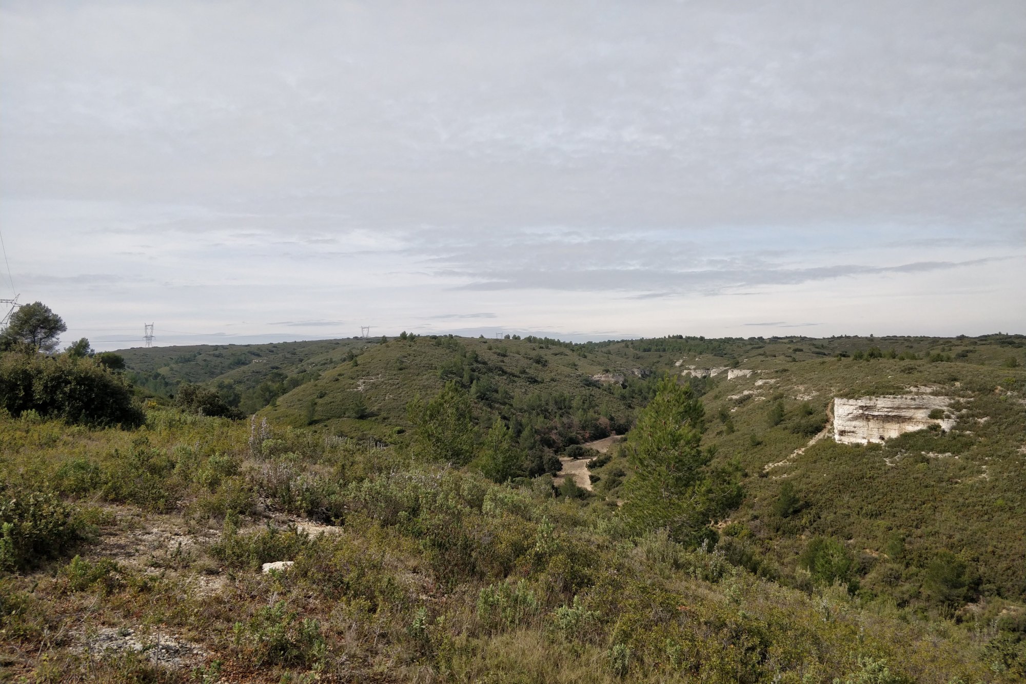 Vue du 11/03/2021