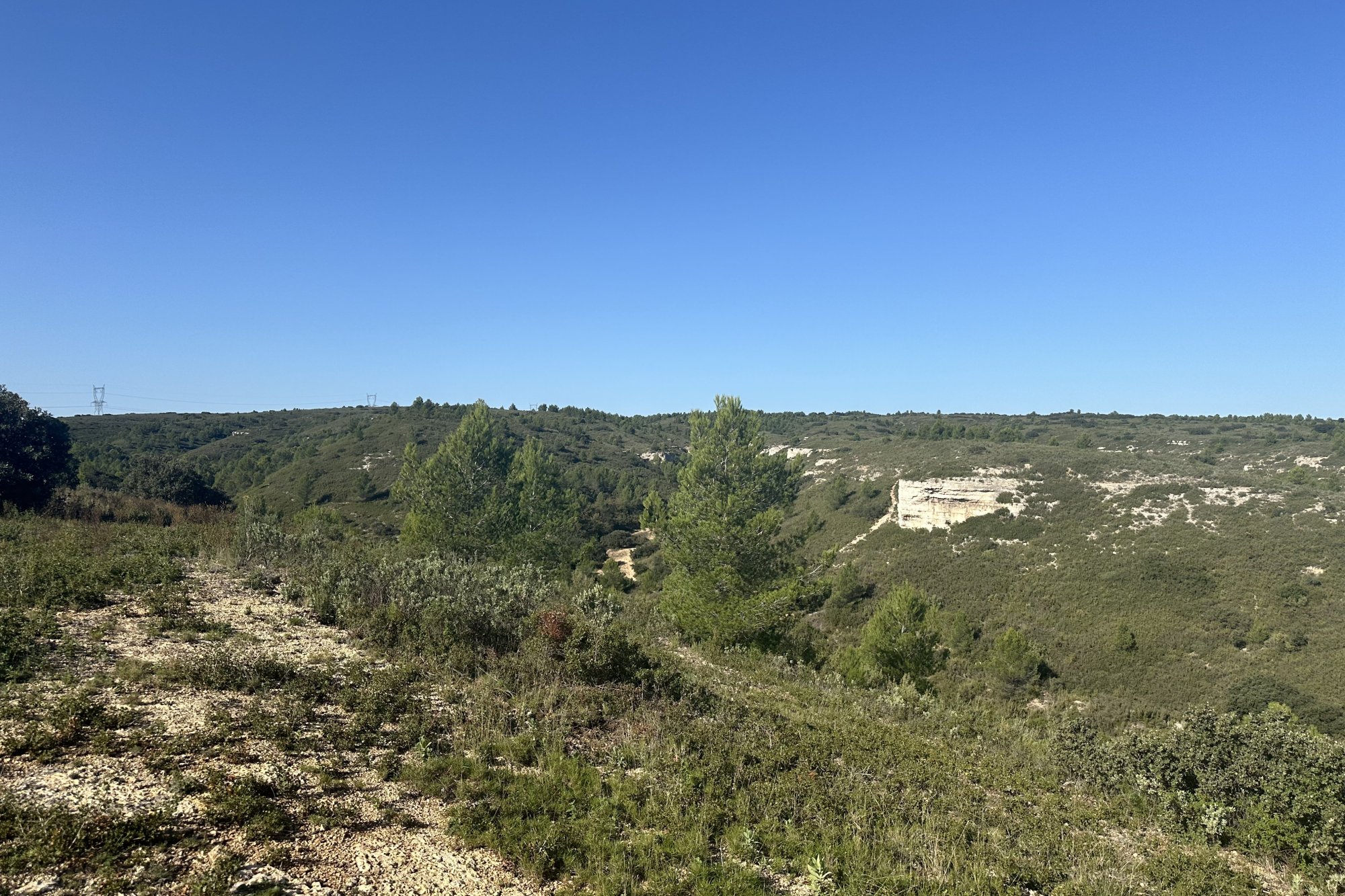 Vue du 02/11/2024