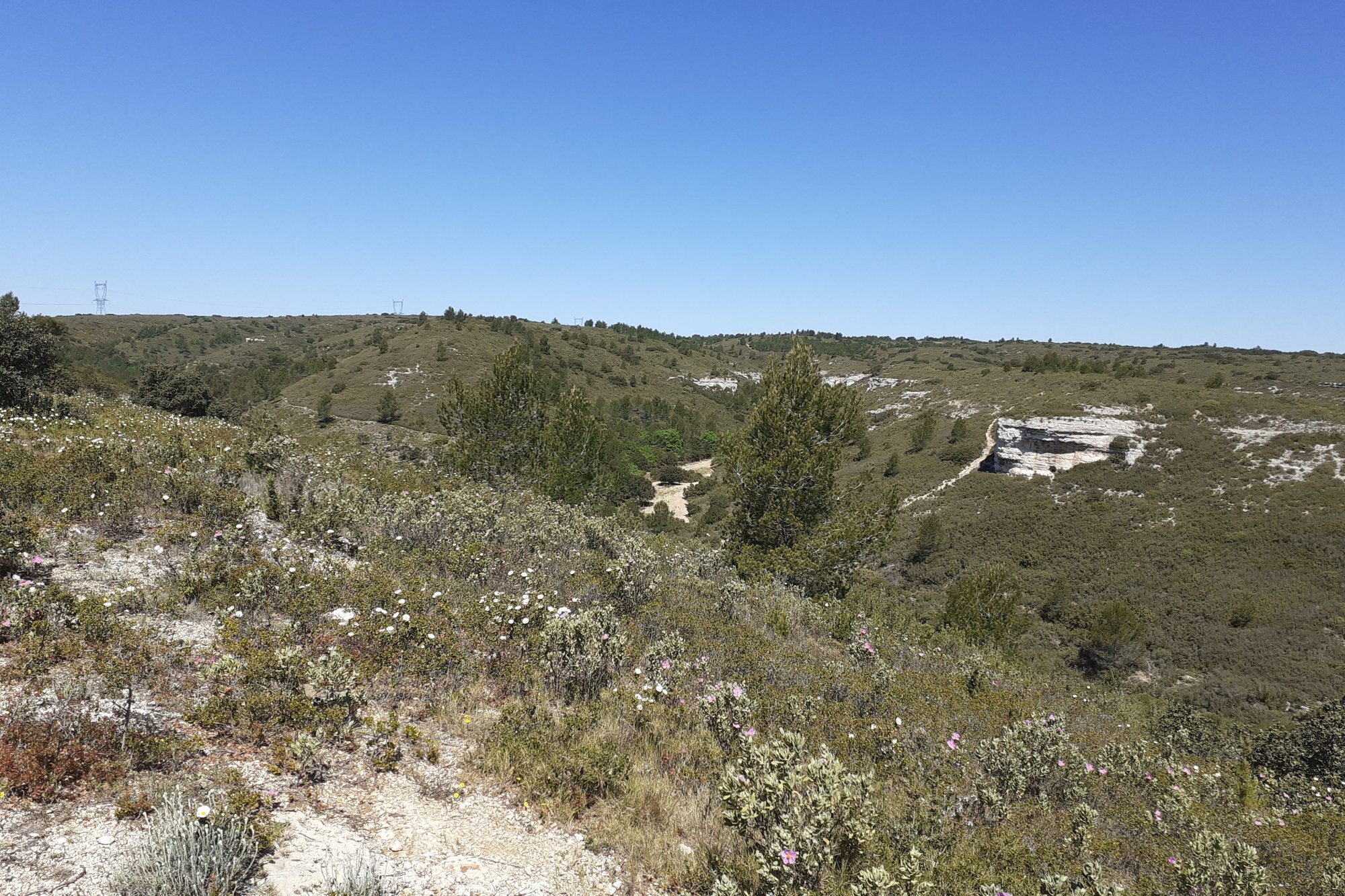 Vue du 02/05/2023