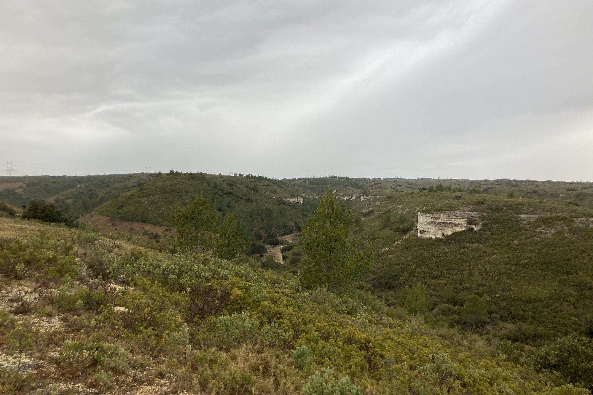 Vue du 13/02/2022