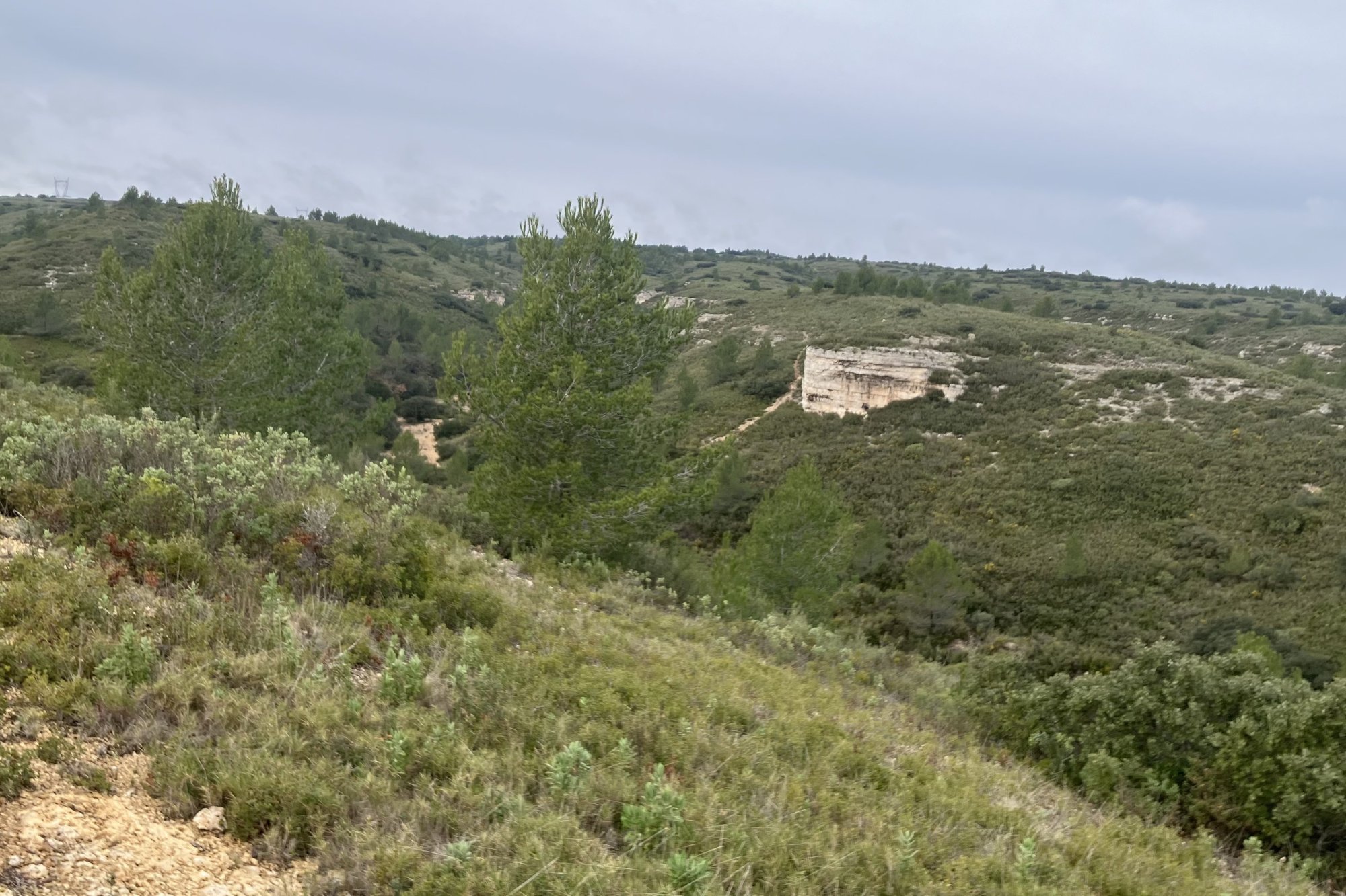 Vue du 31/01/2026