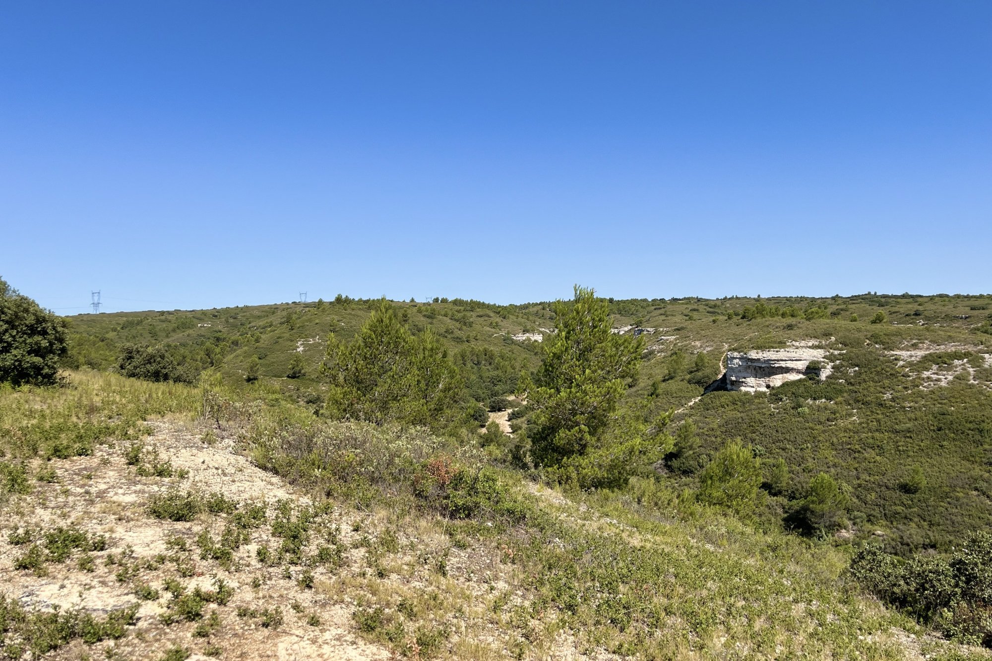 Vue du 23/07/2024