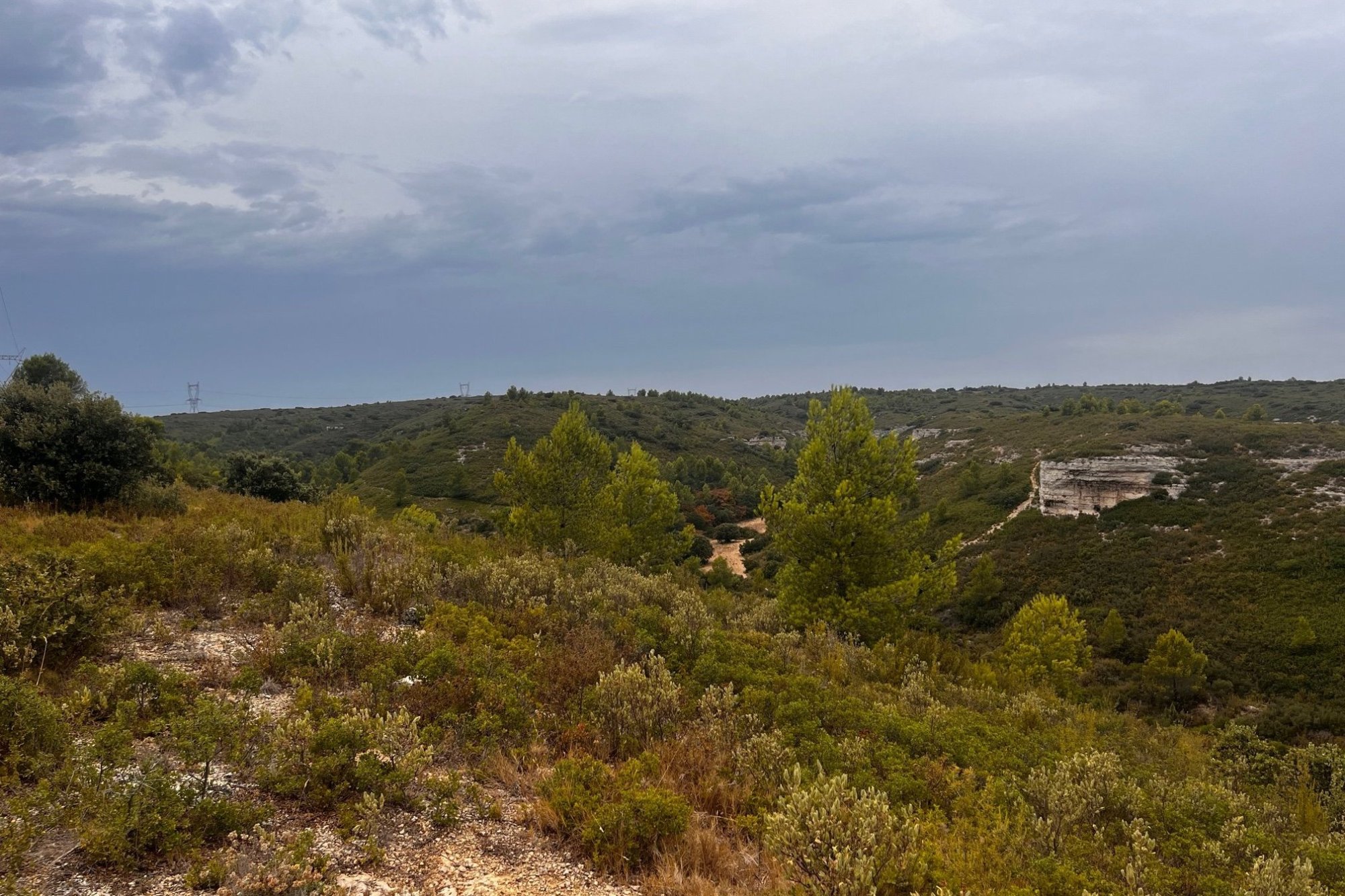 Vue du 26/08/2023