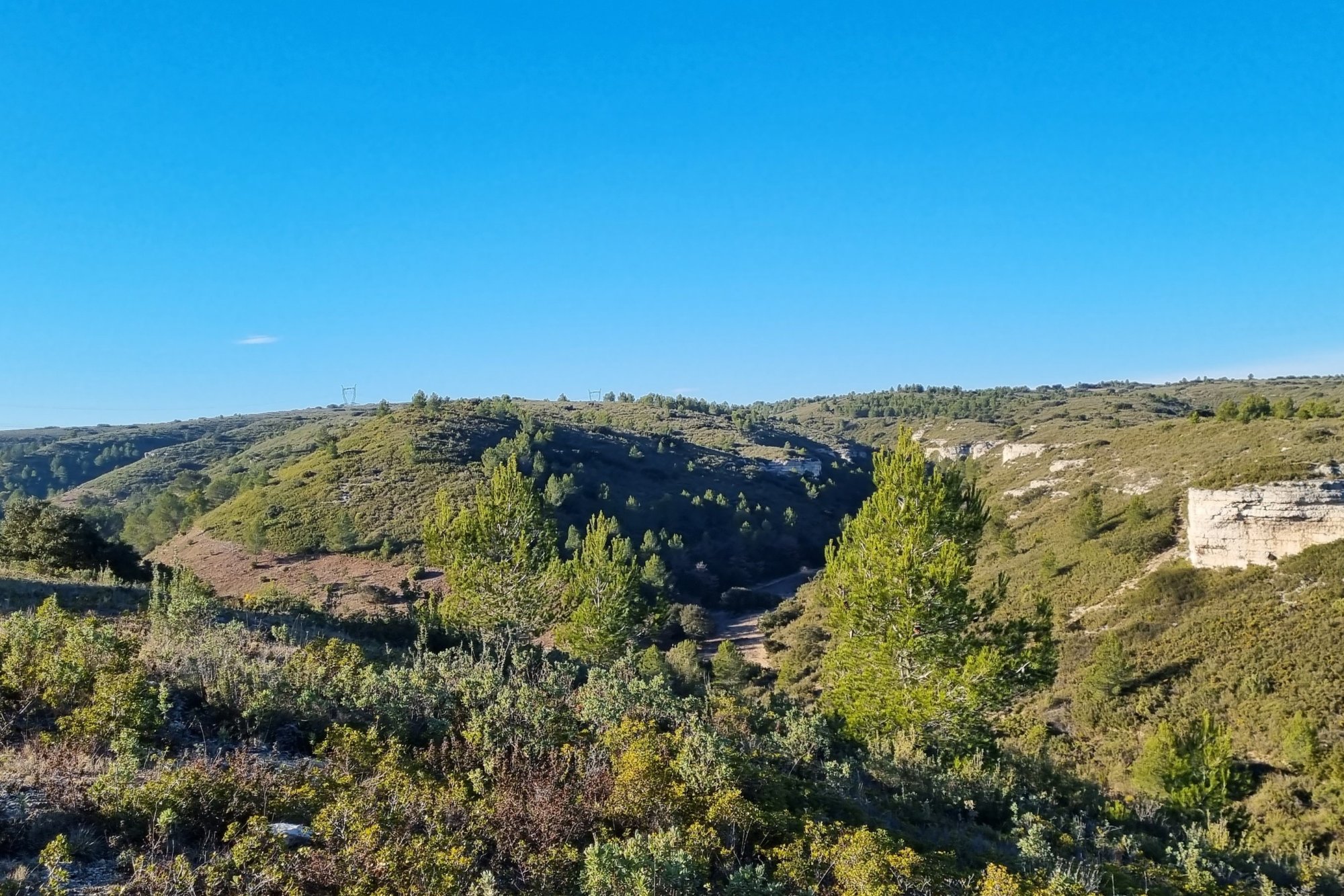 Vue du 29/01/2022