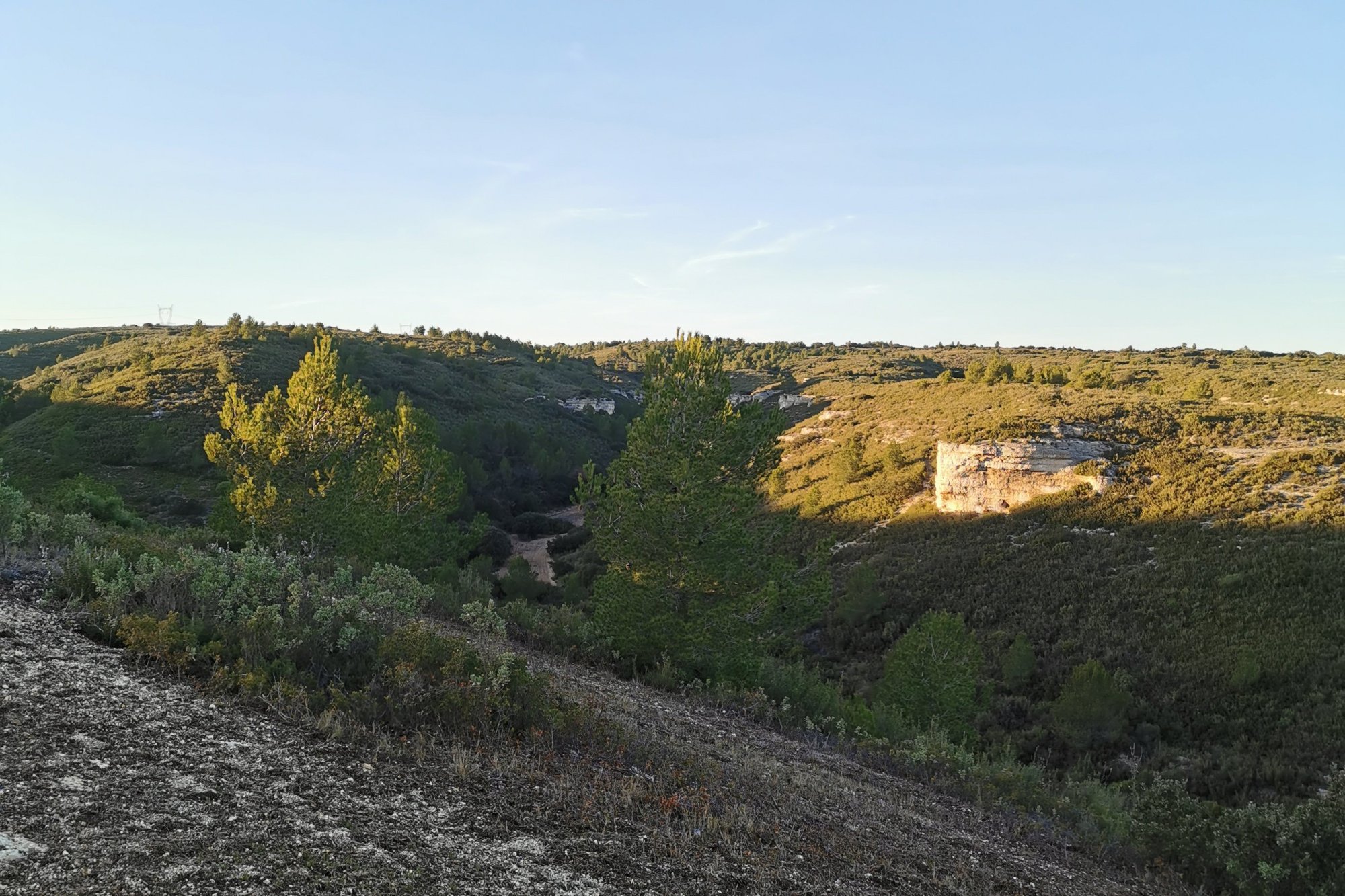 Vue du 27/01/2024