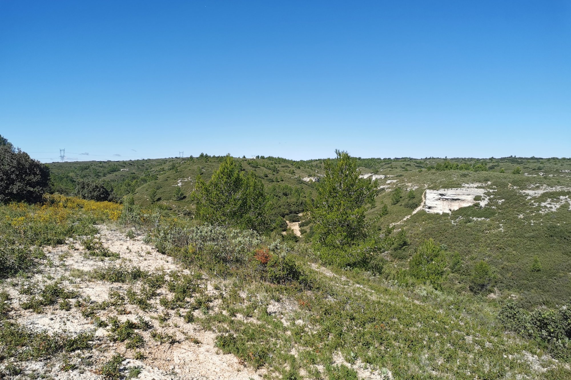 Vue du 03/10/2024