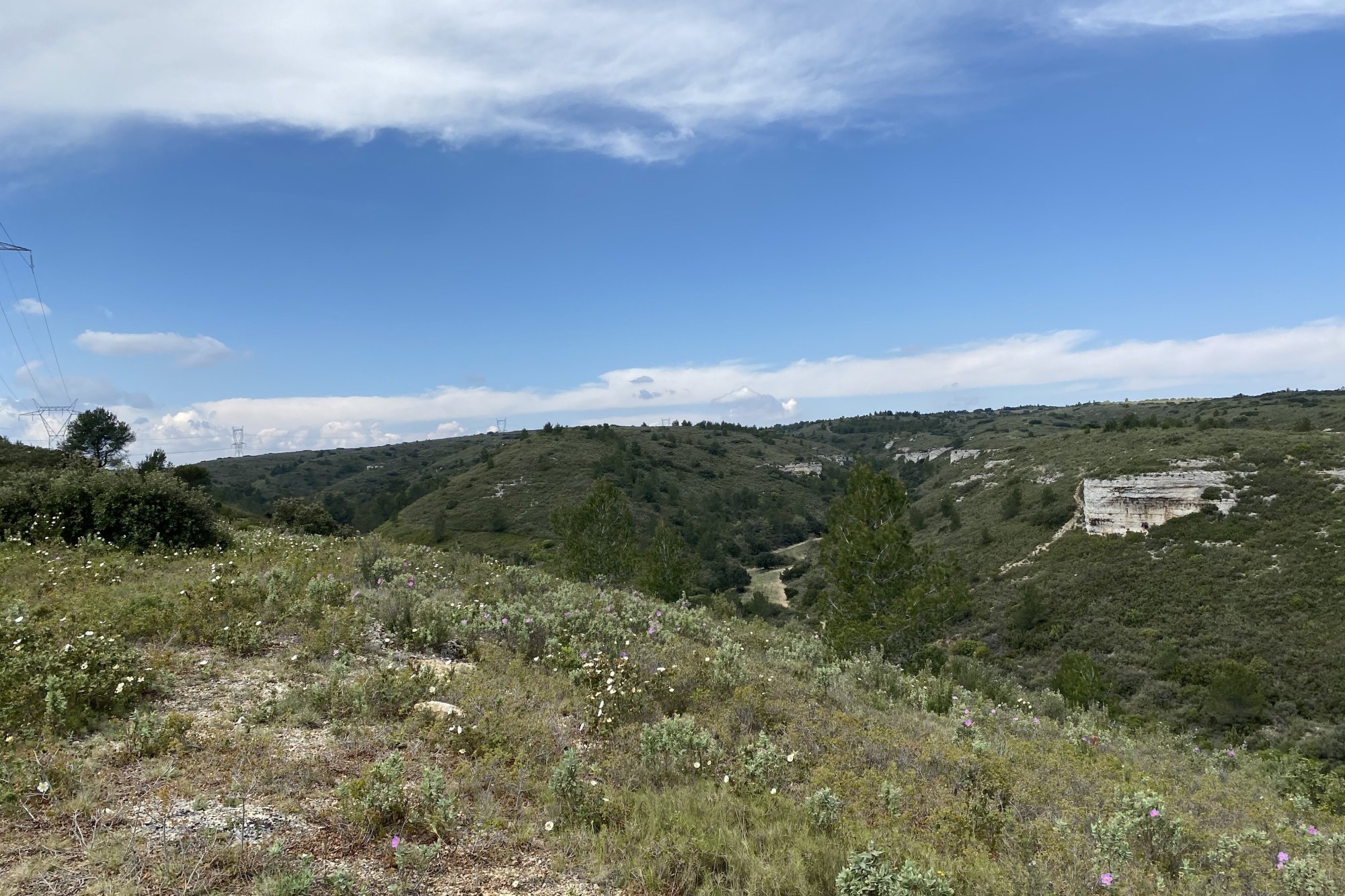 Vue du 02/05/2021