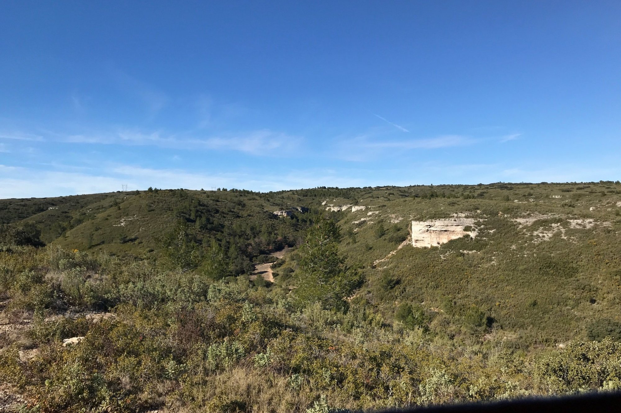 Vue du 31/01/2021