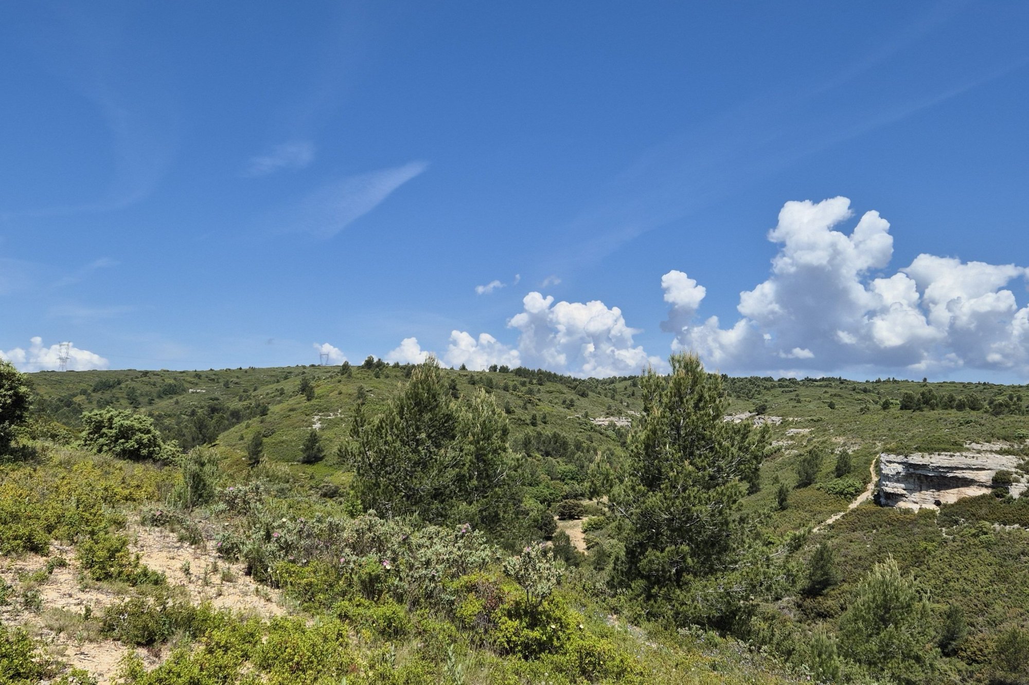 Vue du 13/05/2025