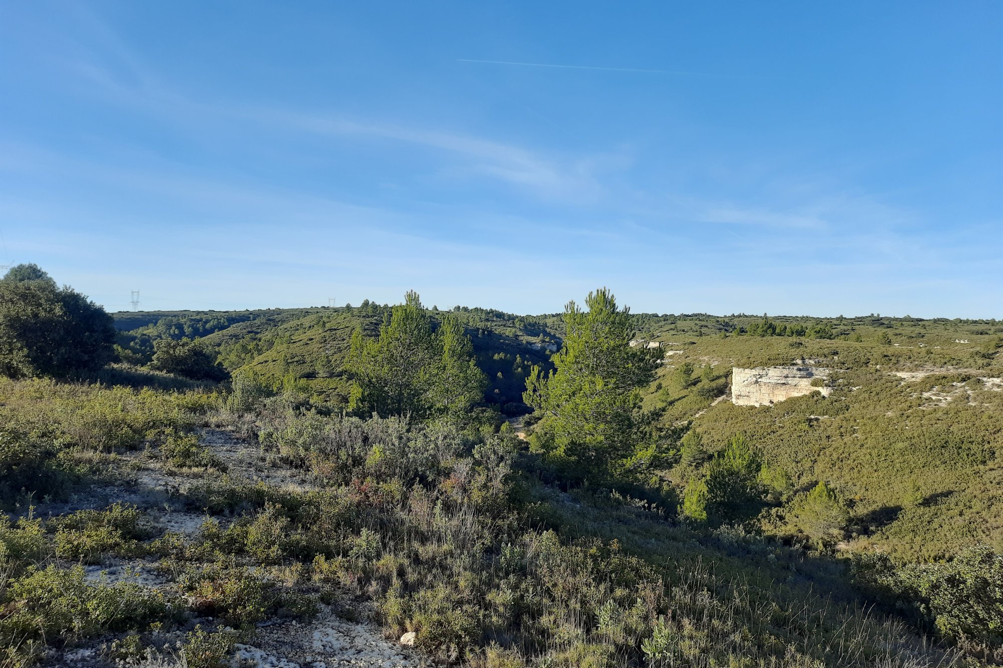Vue du 11/01/2026