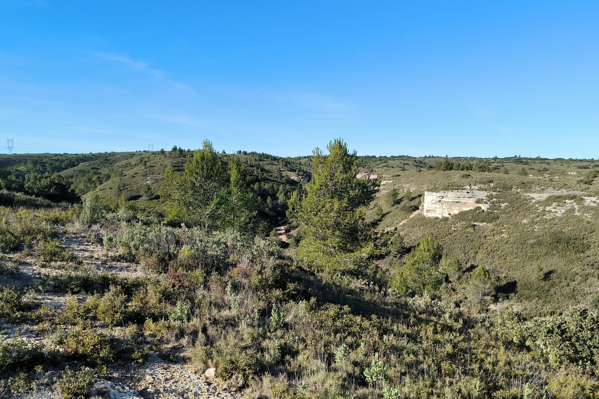Vue du 11/01/2026