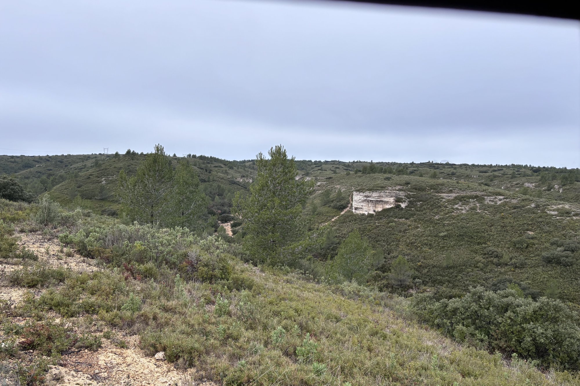 Vue du 31/01/2026