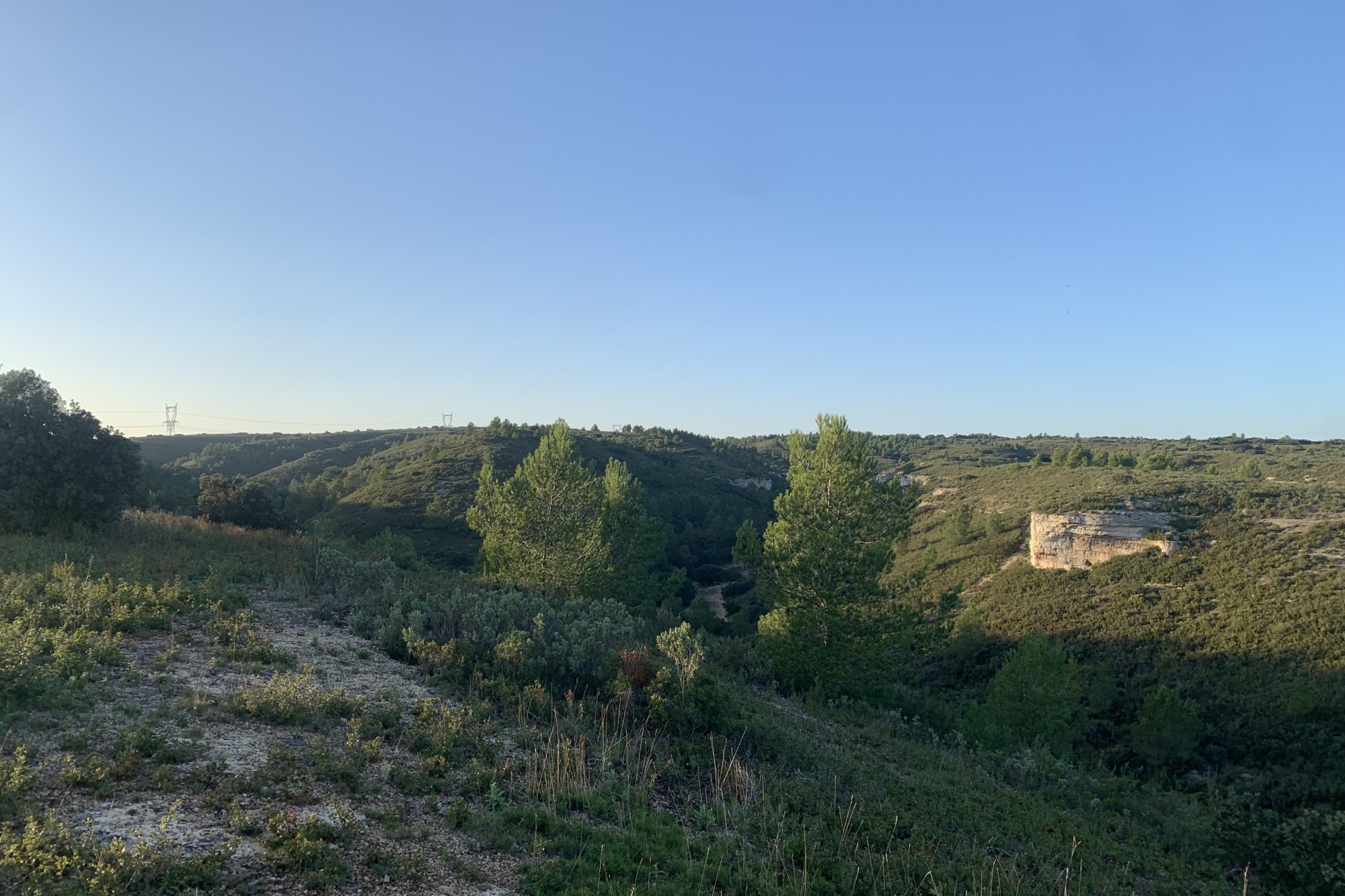 Vue du 31/10/2024