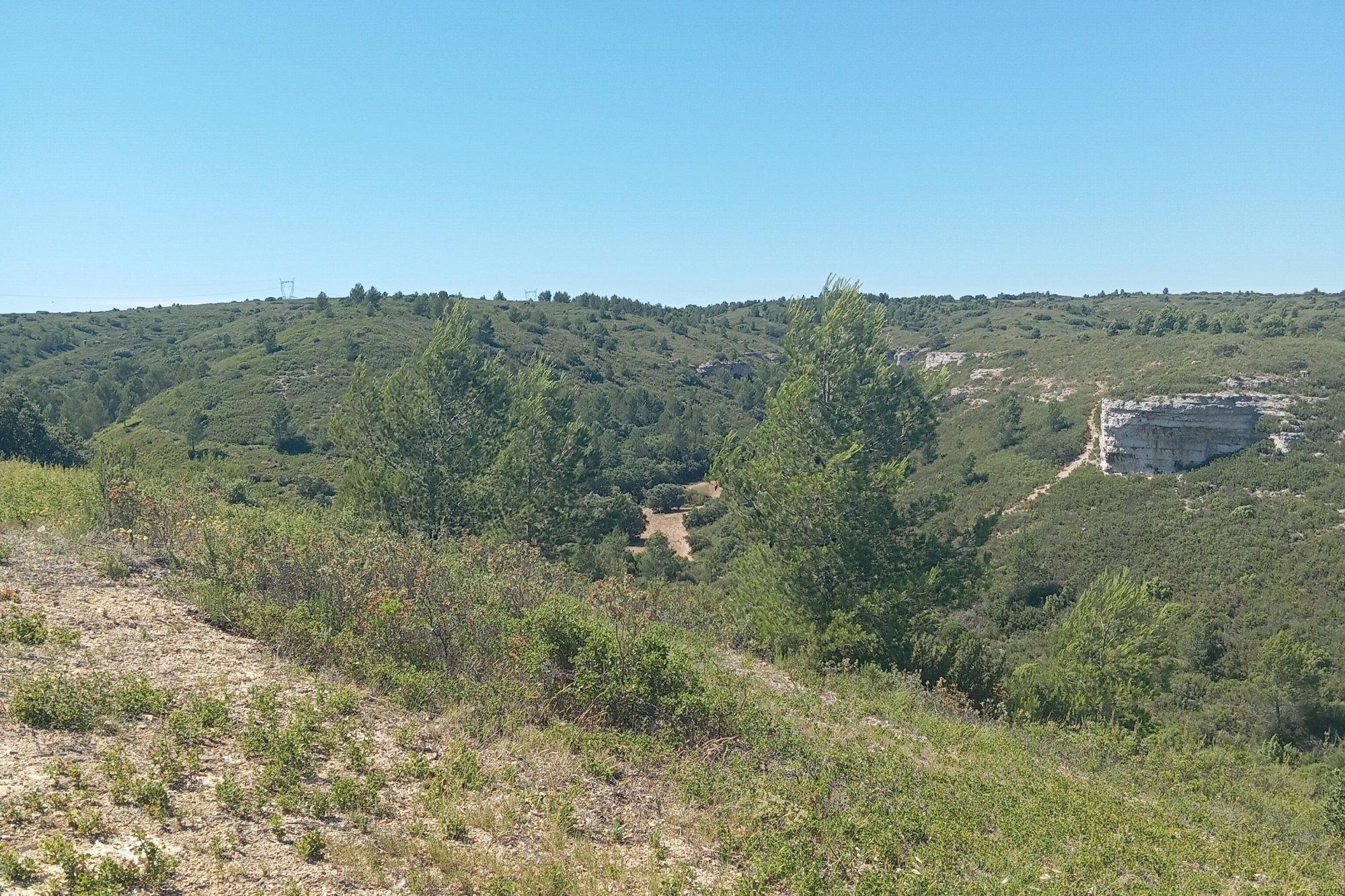 Vue du 16/06/2024