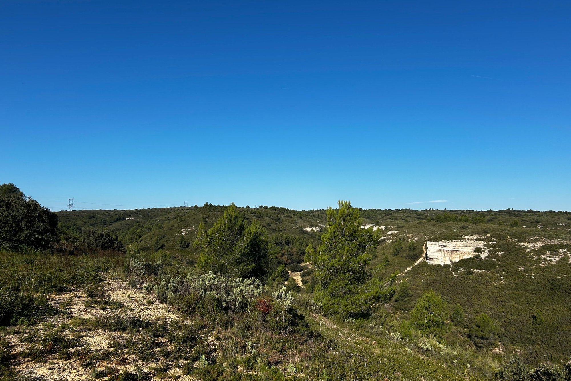 Vue du 11/11/2024
