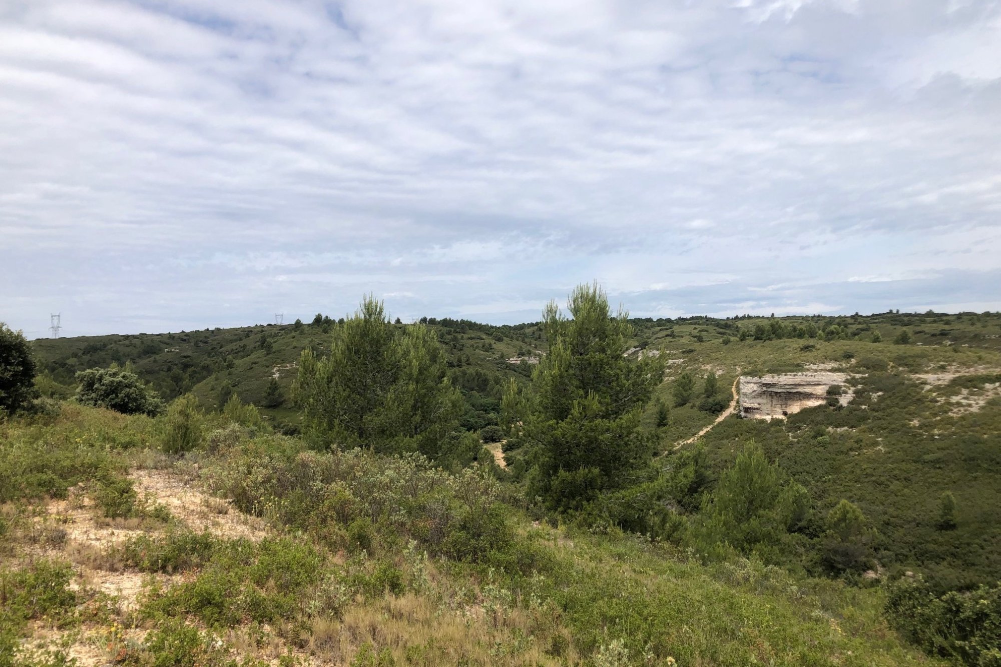 Vue du 16/06/2026
