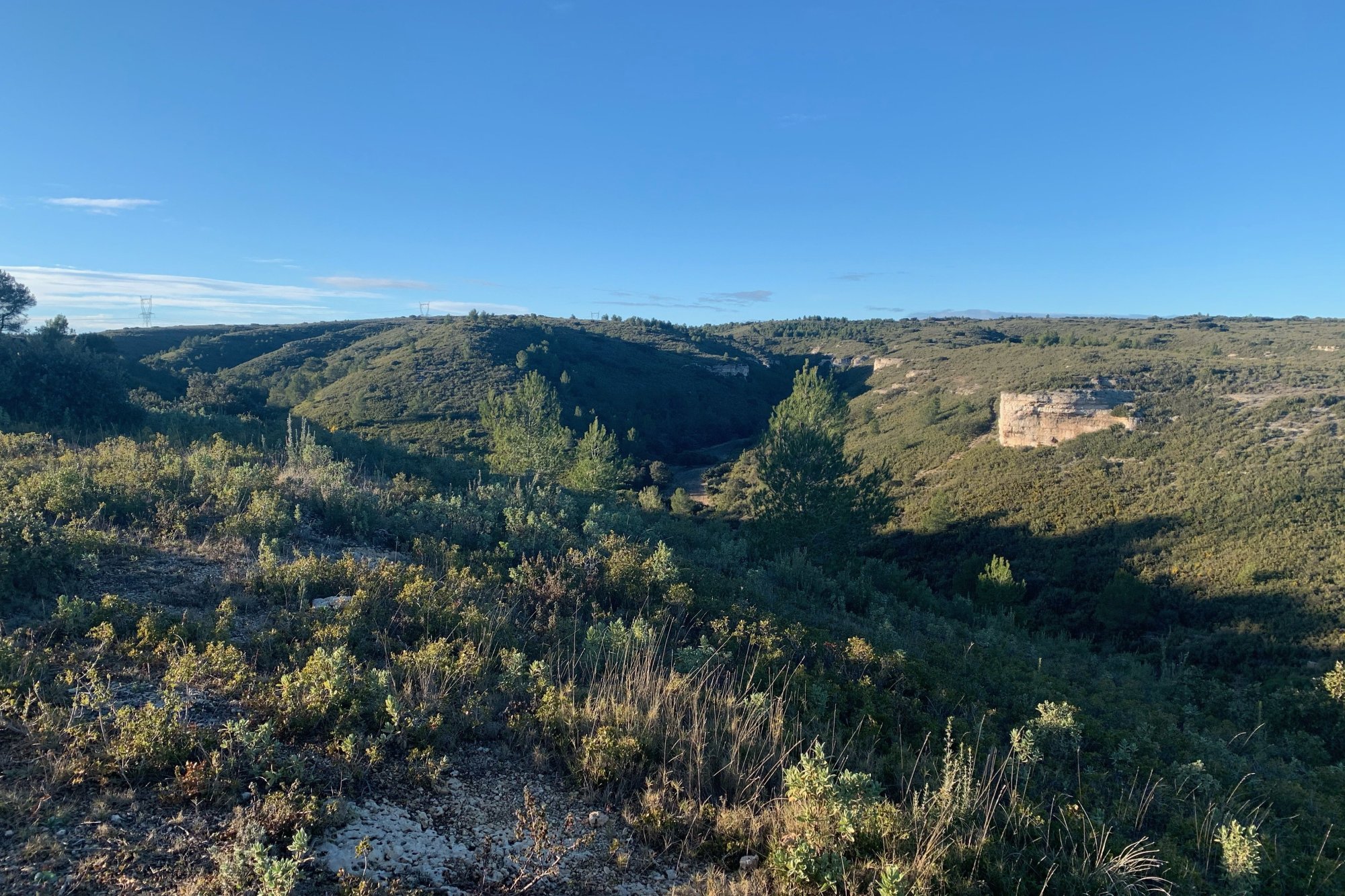 Vue du 31/01/2021